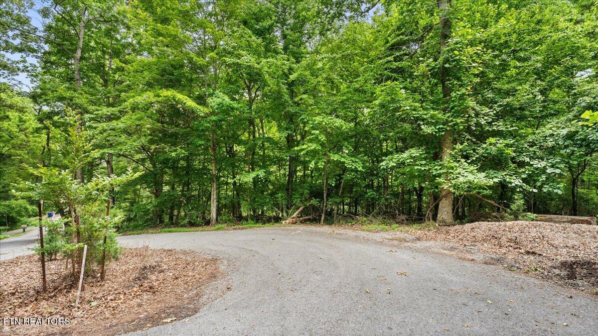 Fort Loudoun and Tellico Lake Real Estate - Image# 8