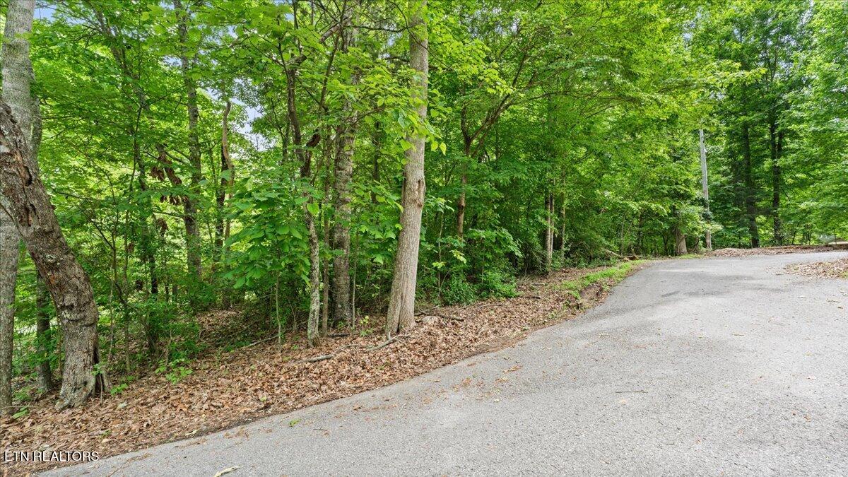 Fort Loudoun and Tellico Lake Real Estate - Image# 9