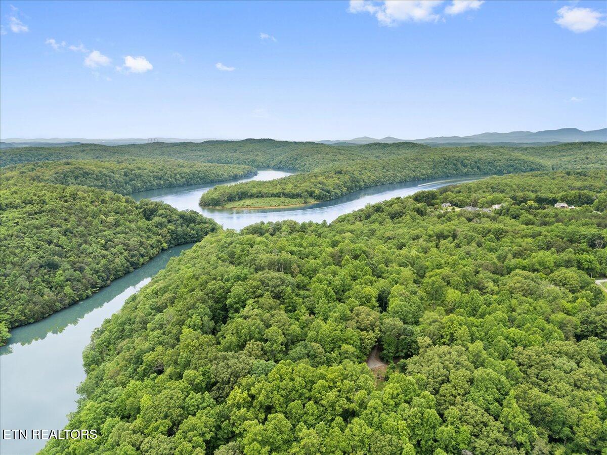 Fort Loudoun and Tellico Lake Real Estate - Image# 11