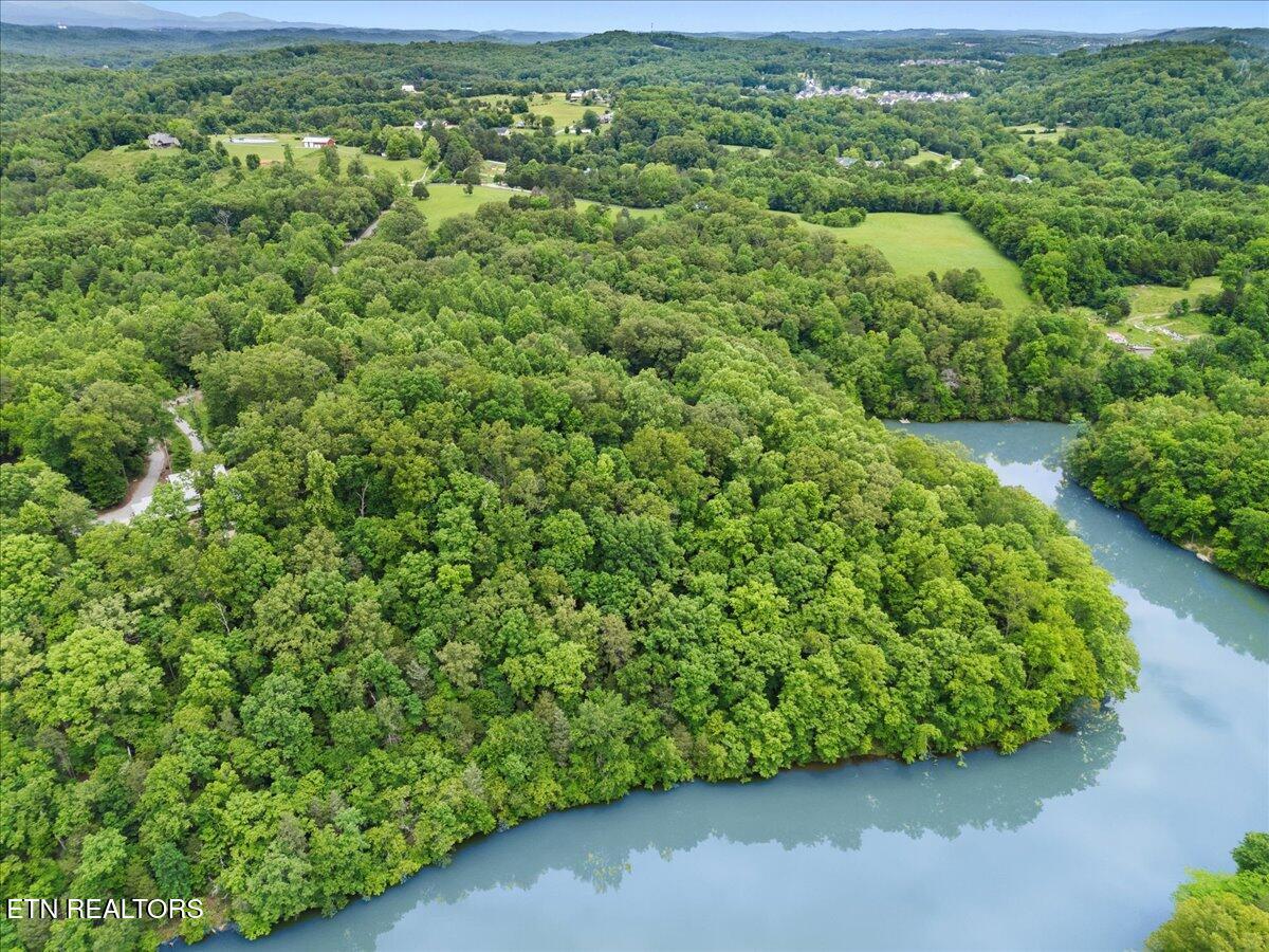 Fort Loudoun and Tellico Lake Real Estate - Image# 14