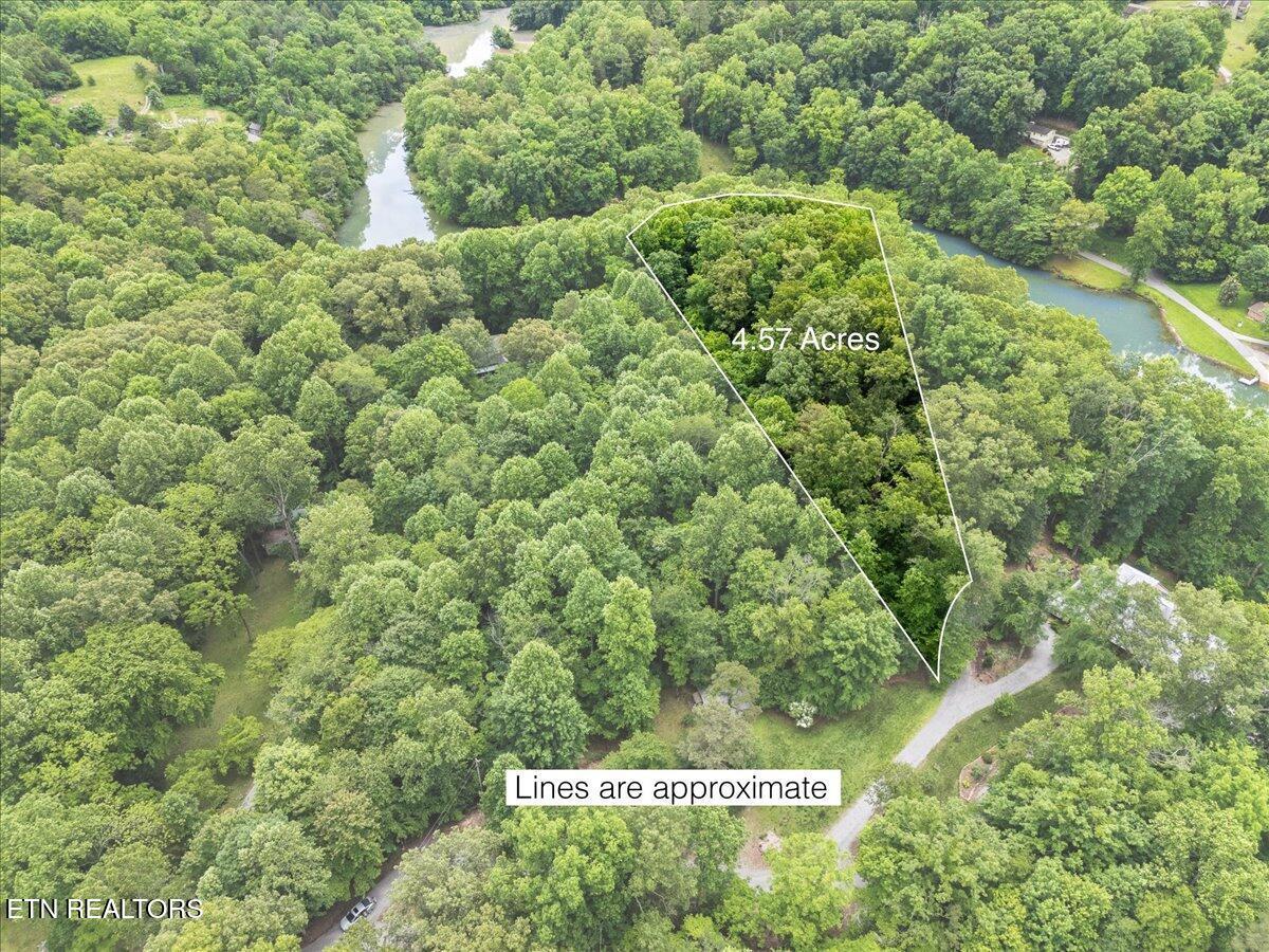 Fort Loudoun and Tellico Lake Real Estate - Image# 15