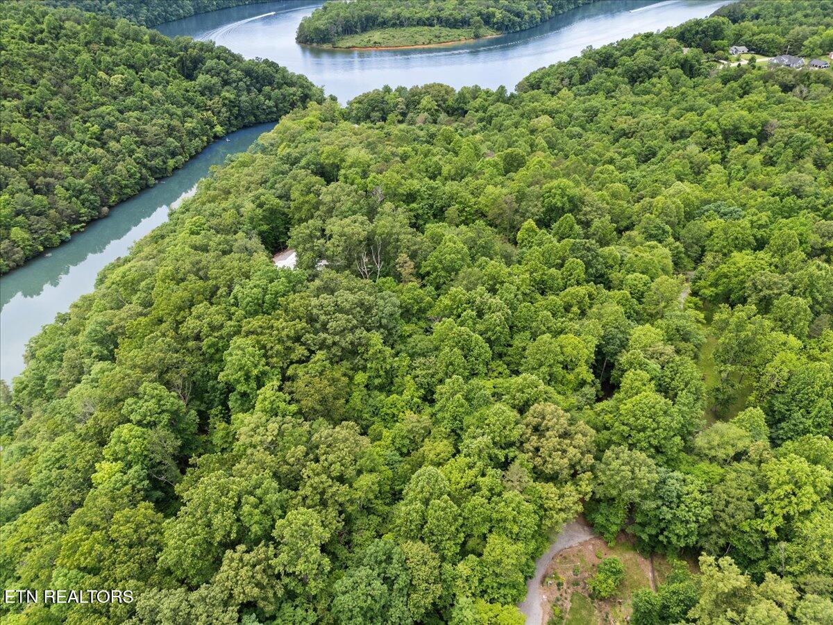Fort Loudoun and Tellico Lake Real Estate - Image# 16