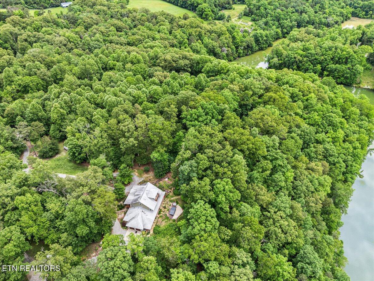 Fort Loudoun and Tellico Lake Real Estate - Image# 17