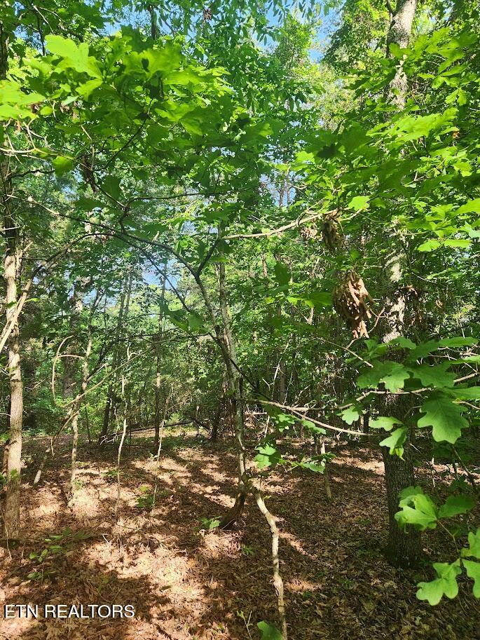 Fort Loudoun and Tellico Lake Real Estate - Image# 7