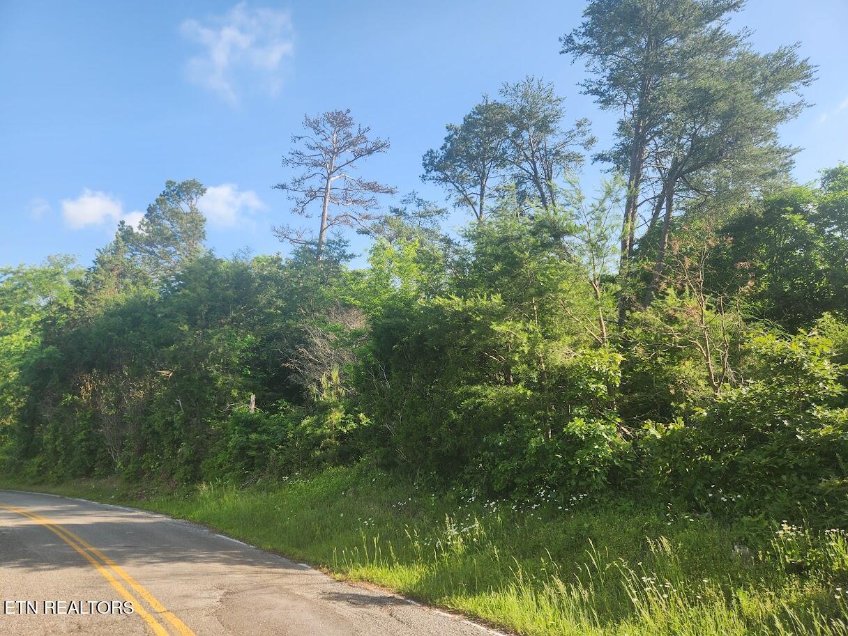Fort Loudoun and Tellico Lake Real Estate - Image# 11