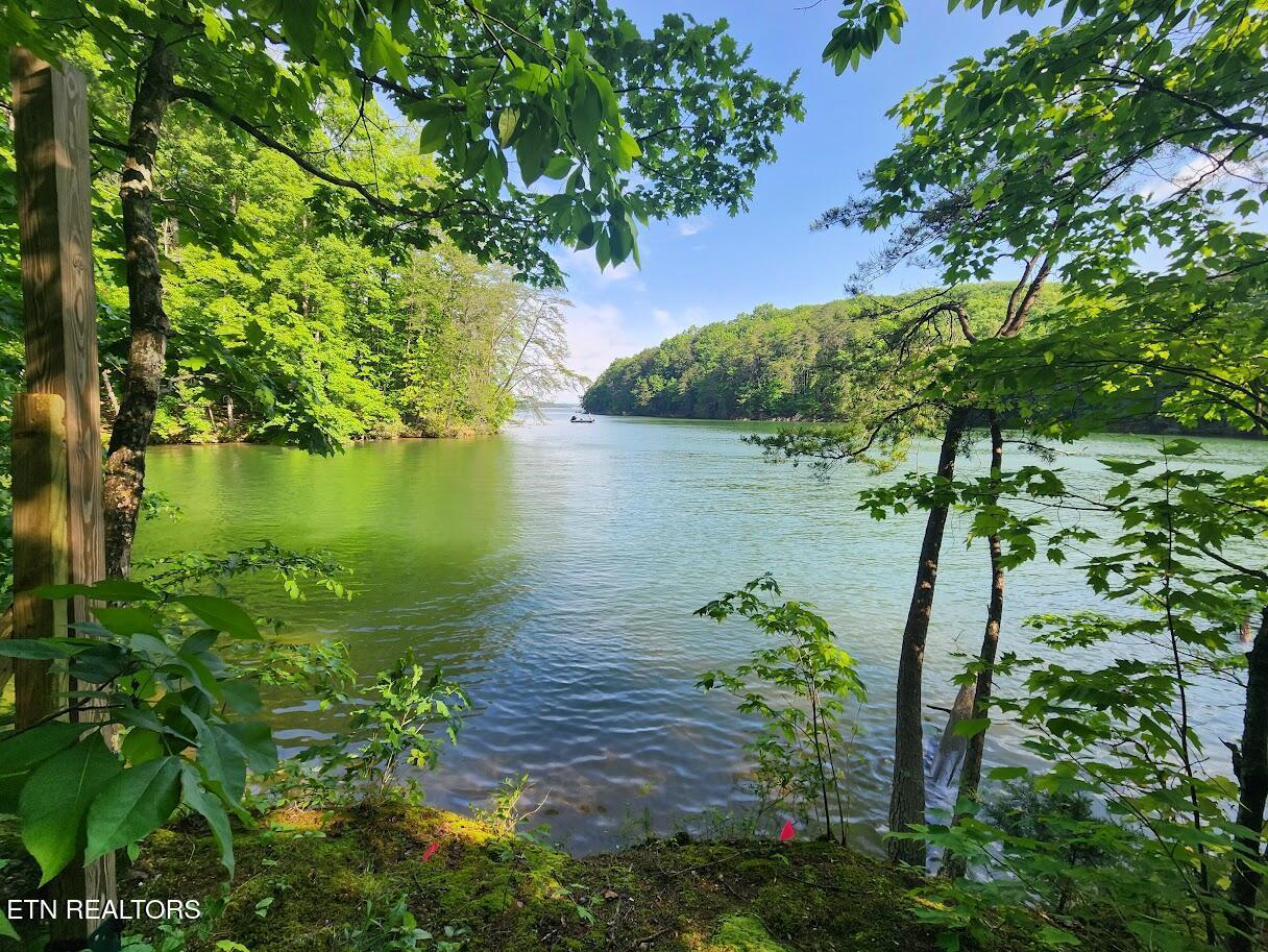 Fort Loudoun and Tellico Lake Real Estate - Image# 13