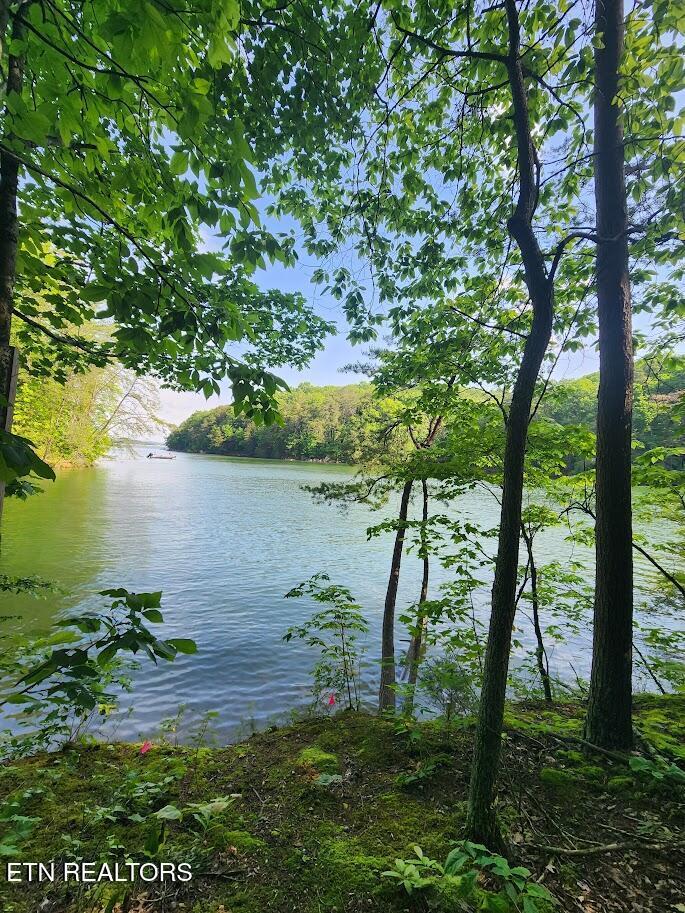Fort Loudoun and Tellico Lake Real Estate - Image# 14