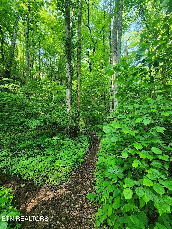 Fort Loudoun and Tellico Lake Real Estate - Image# 17