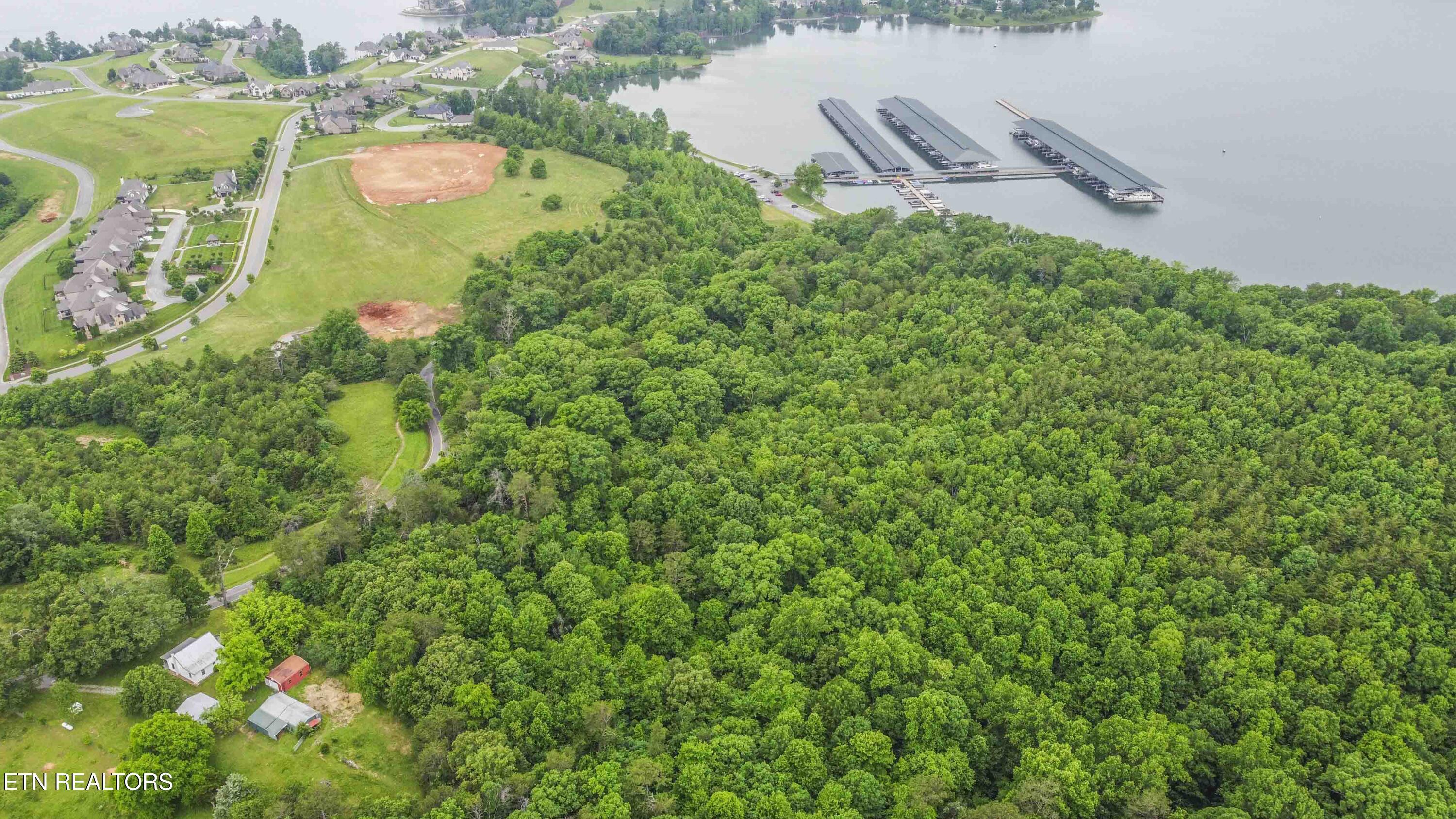 Fort Loudoun and Tellico Lake Real Estate - Image# 23