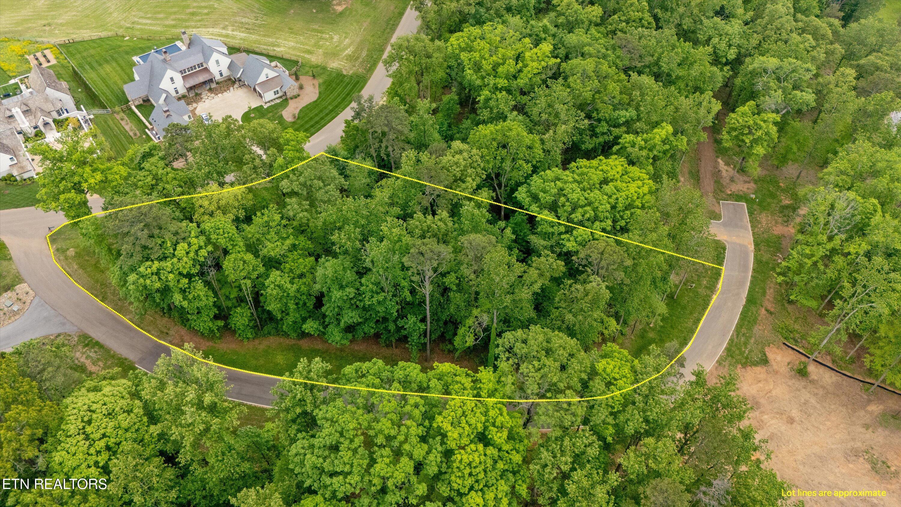 Fort Loudoun and Tellico Lake Real Estate - Image# 4