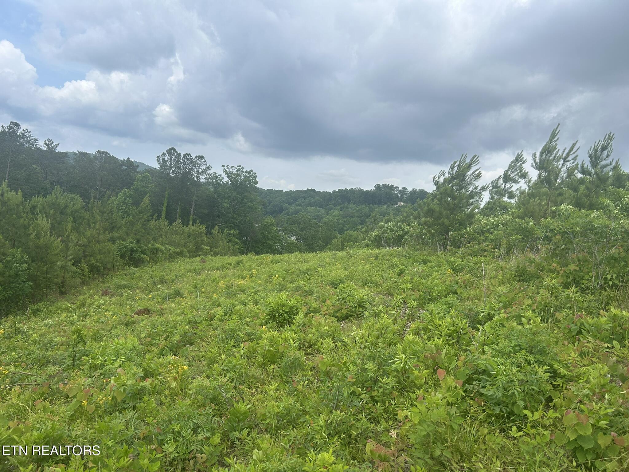 Fort Loudoun and Tellico Lake Real Estate - Image# 5