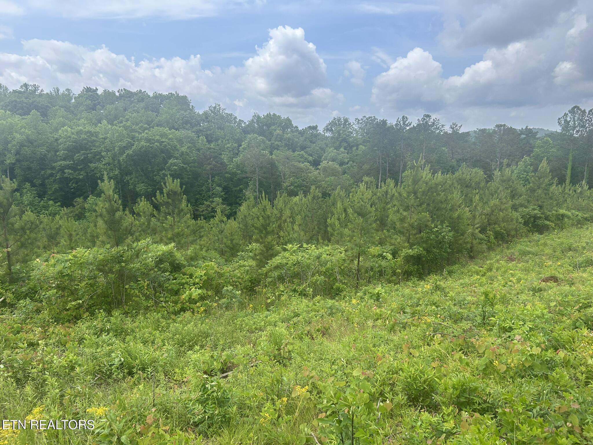 Fort Loudoun and Tellico Lake Real Estate - Image# 6