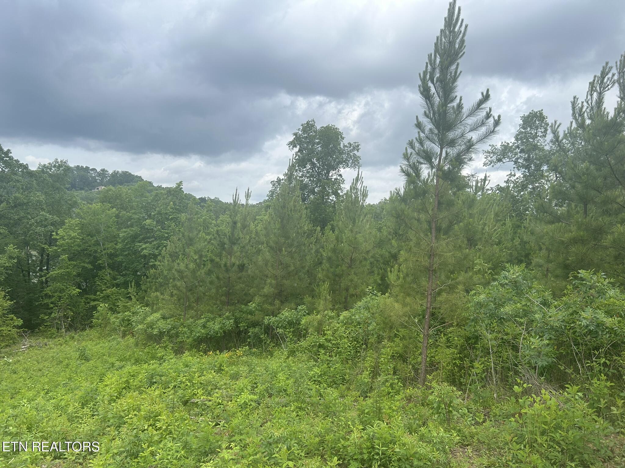 Fort Loudoun and Tellico Lake Real Estate - Image# 7