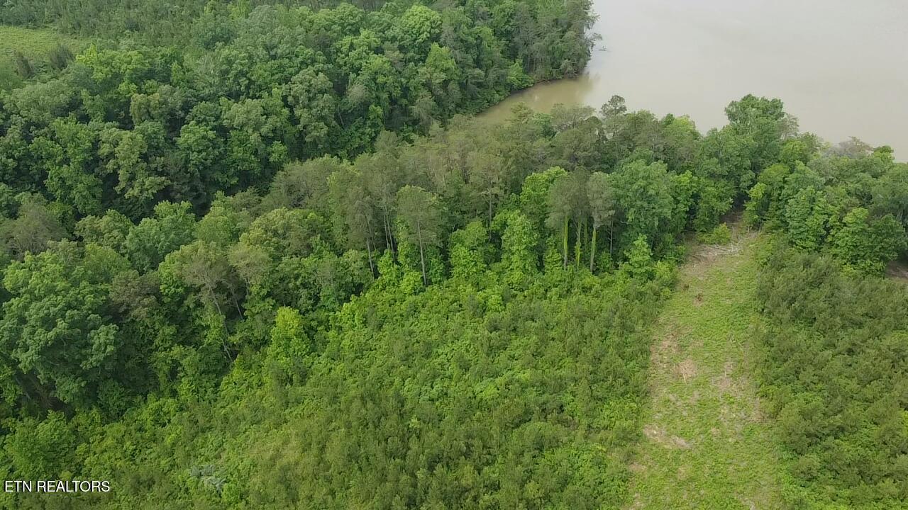 Fort Loudoun and Tellico Lake Real Estate - Image# 8