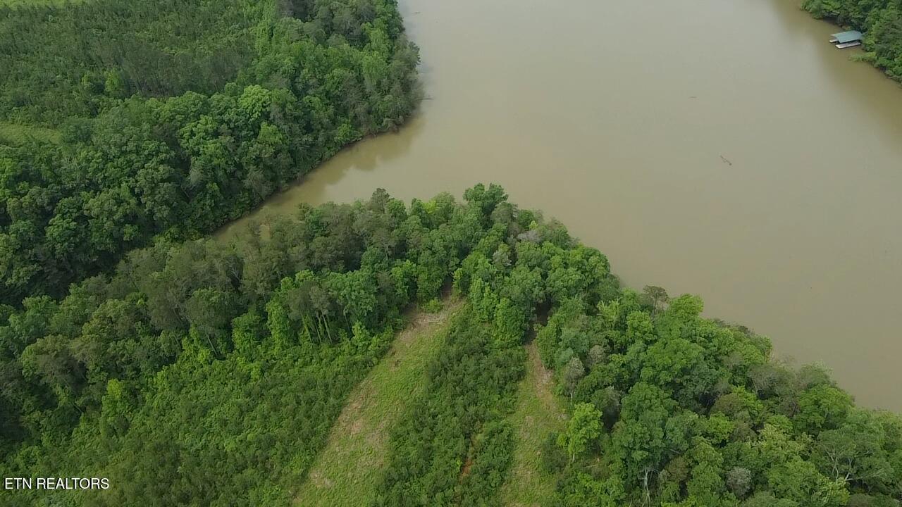 Fort Loudoun and Tellico Lake Real Estate - Image# 4