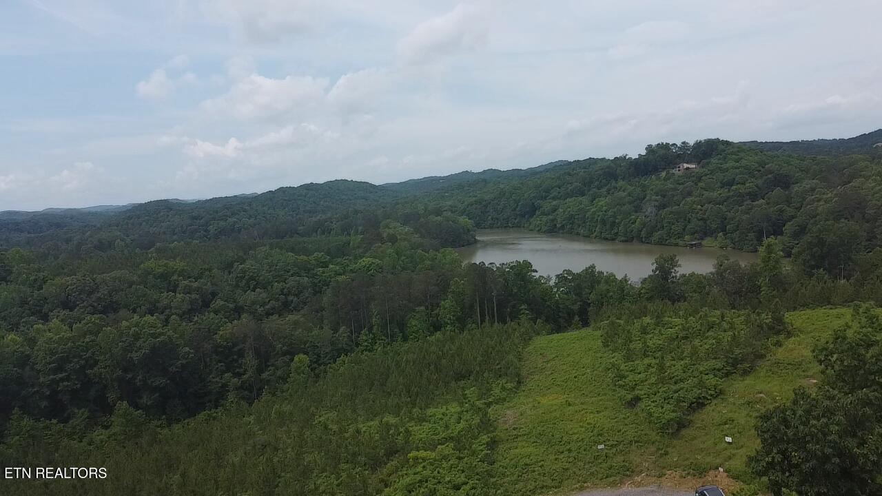 Fort Loudoun and Tellico Lake Real Estate - Image# 13