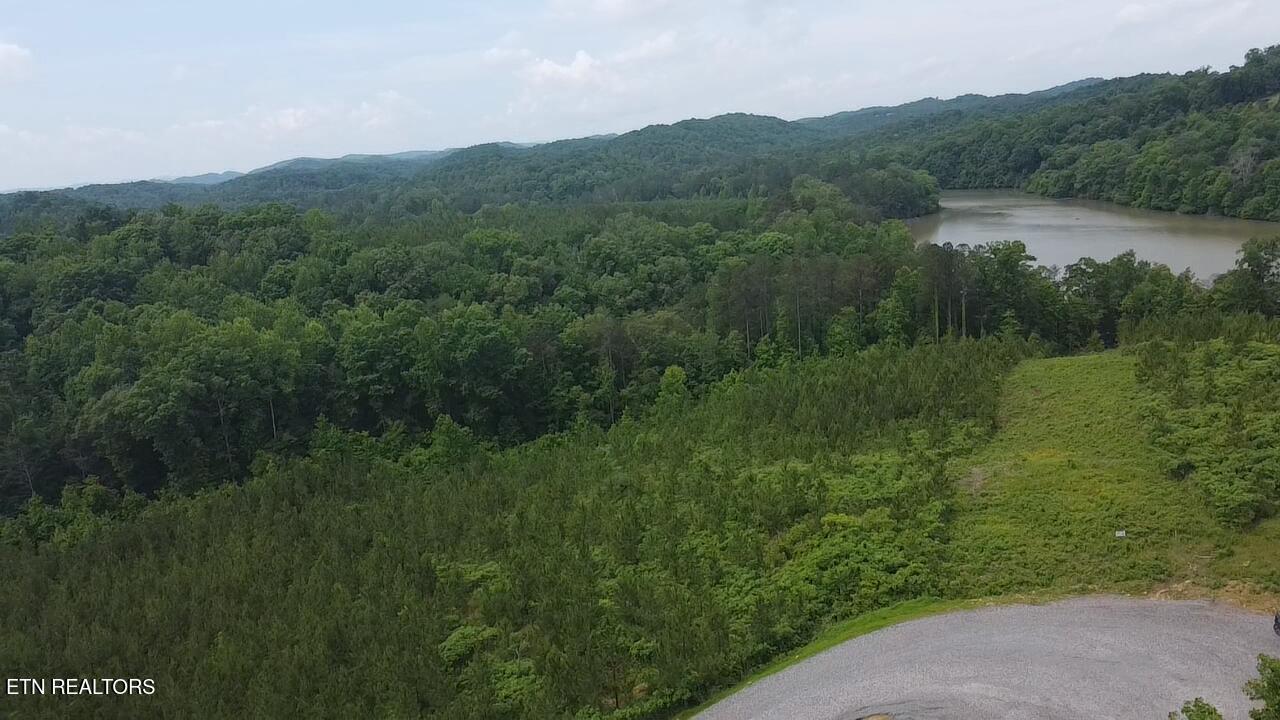 Fort Loudoun and Tellico Lake Real Estate - Image# 14