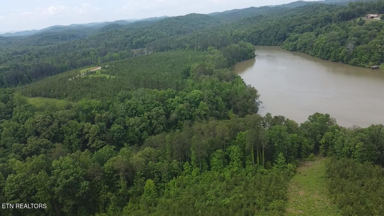 Fort Loudoun and Tellico Lake Real Estate - Image# 15