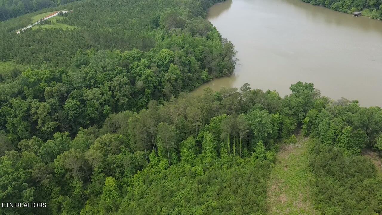 Fort Loudoun and Tellico Lake Real Estate - Image# 3