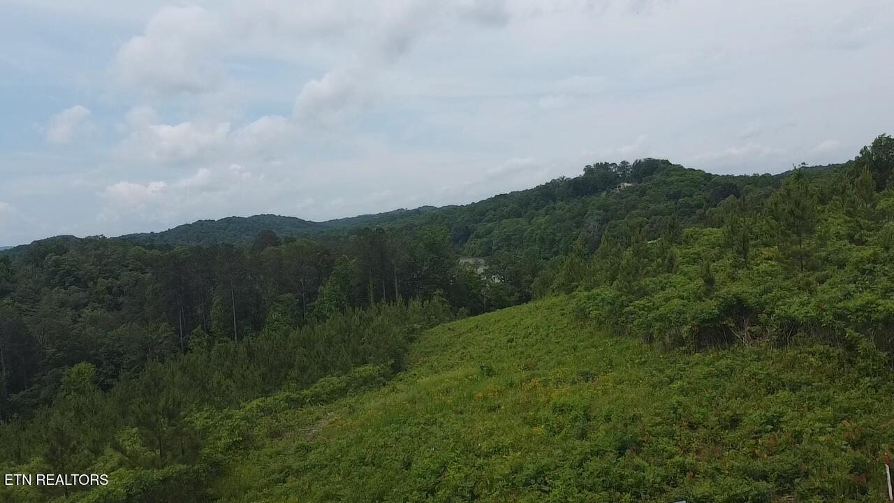 Fort Loudoun and Tellico Lake Real Estate - Image# 16