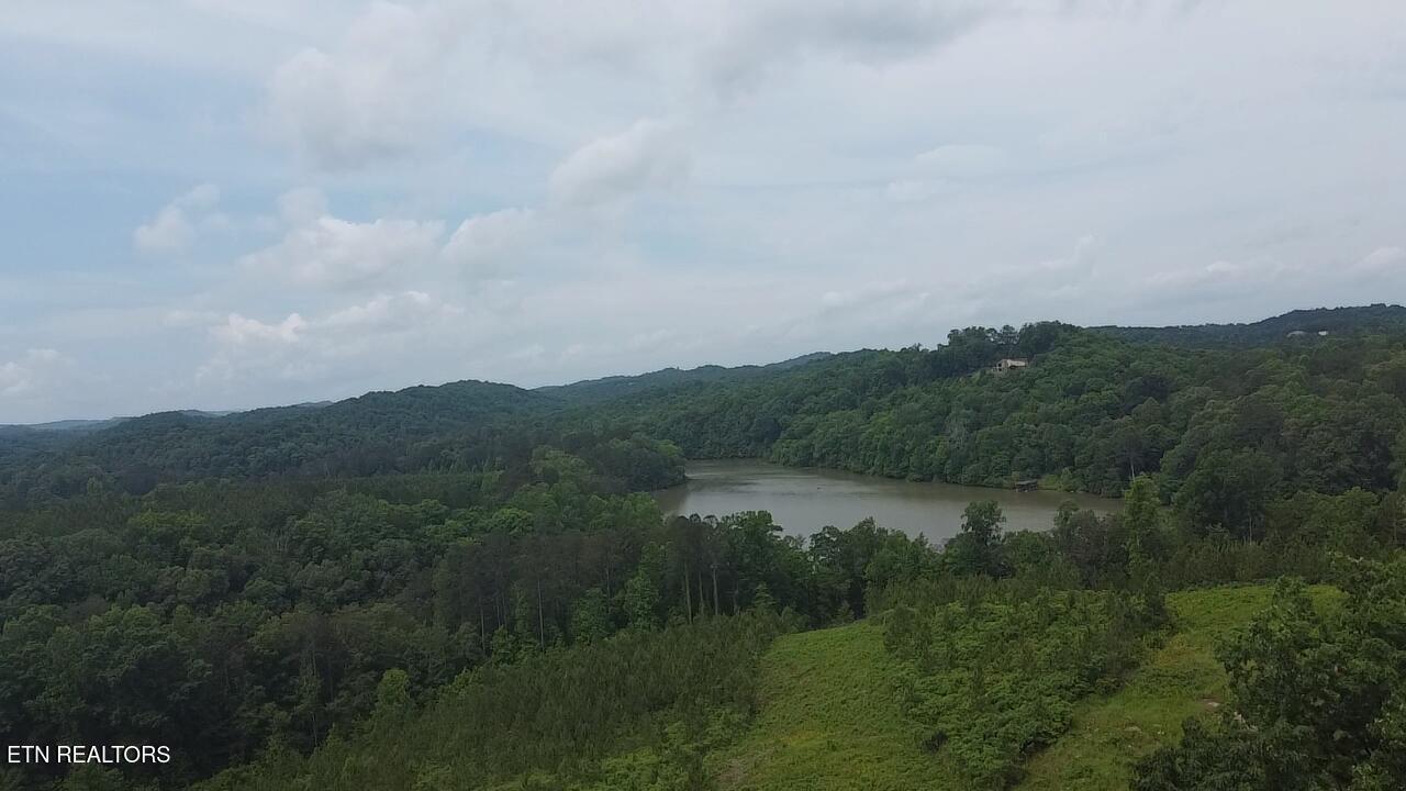 Fort Loudoun and Tellico Lake Real Estate - Image# 17