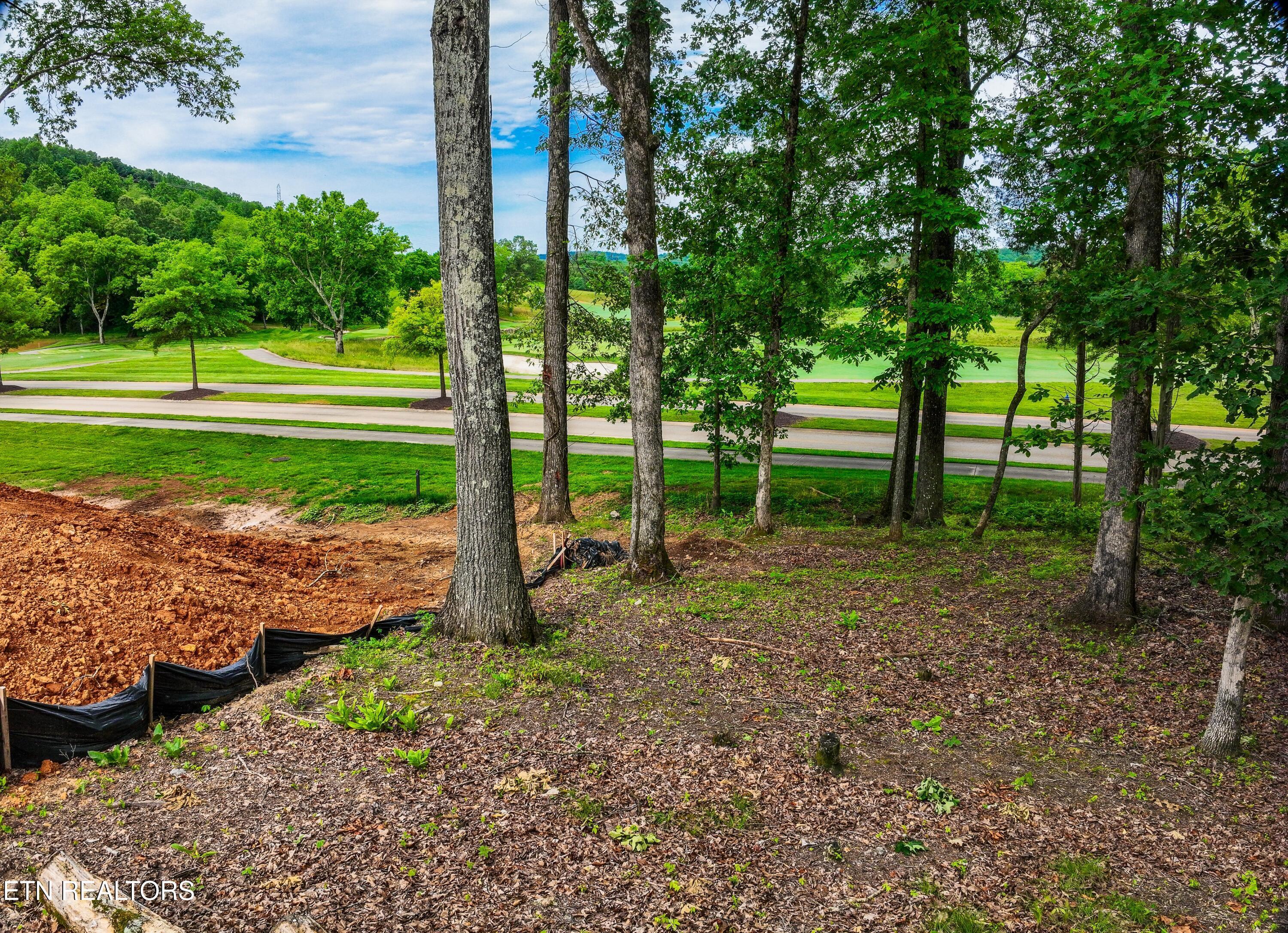 Fort Loudoun and Tellico Lake Real Estate - Image# 8