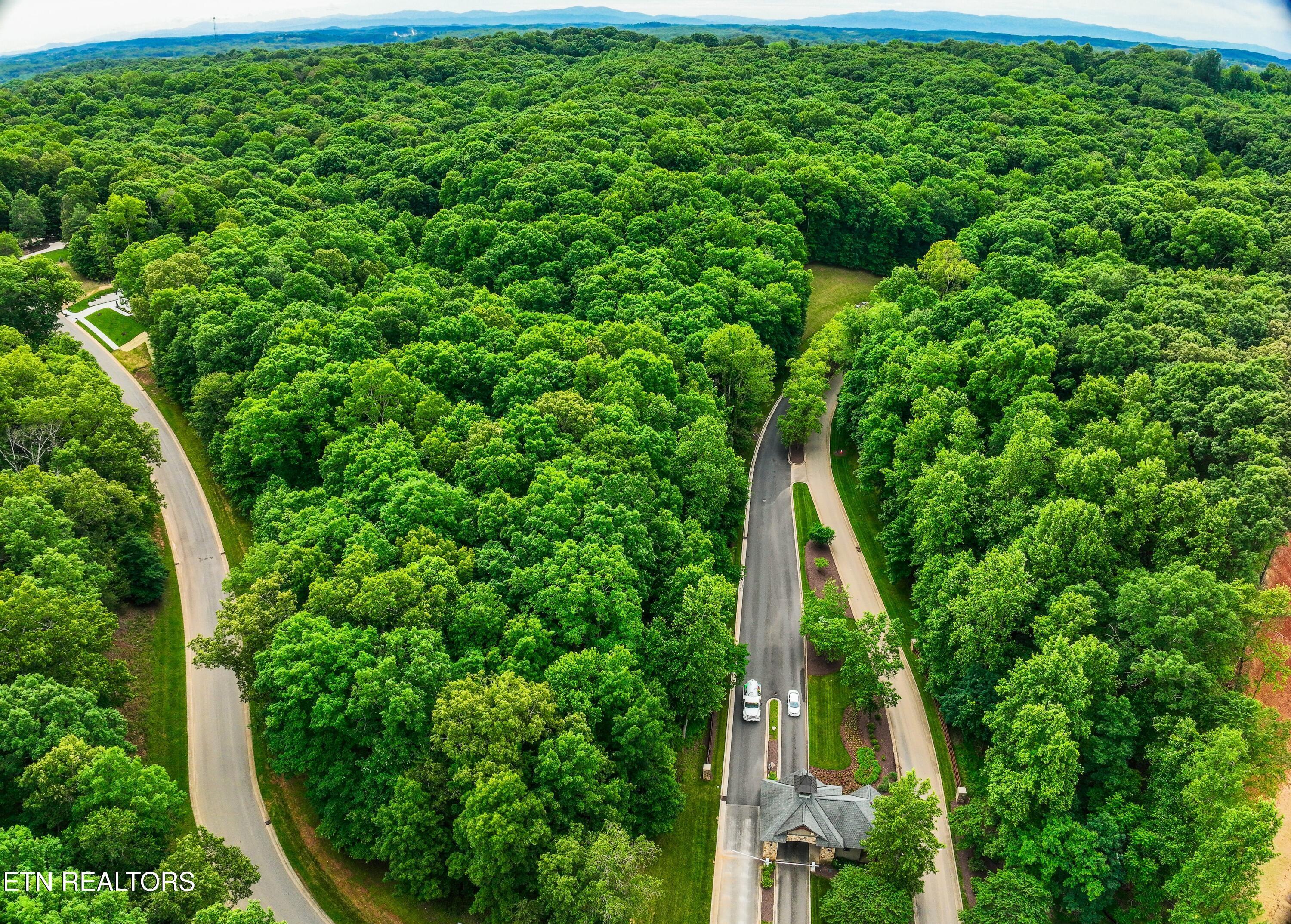 Fort Loudoun and Tellico Lake Real Estate - Image# 29