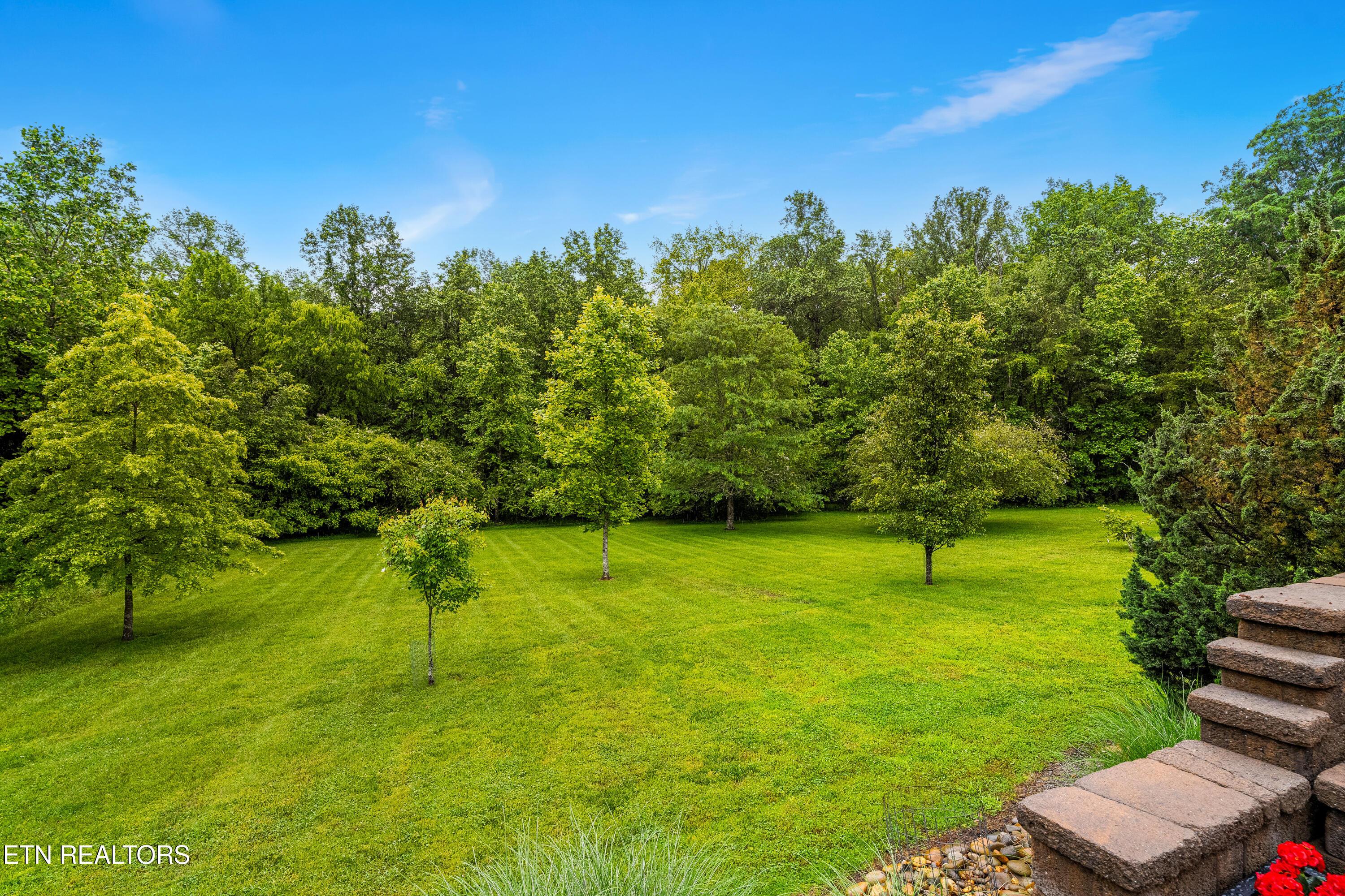Fort Loudoun and Tellico Lake Real Estate - Image# 51