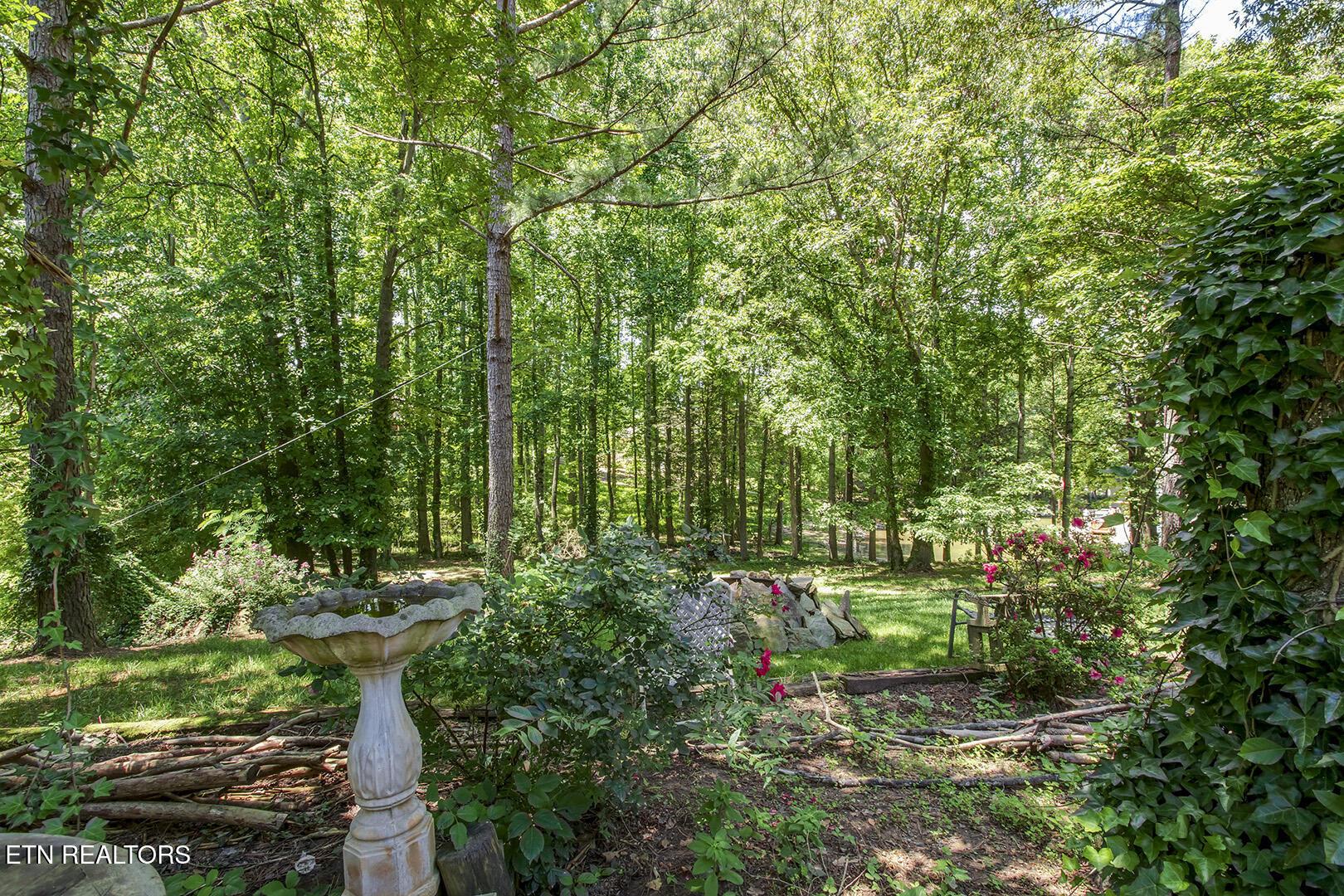 Fort Loudoun and Tellico Lake Real Estate - Image# 51