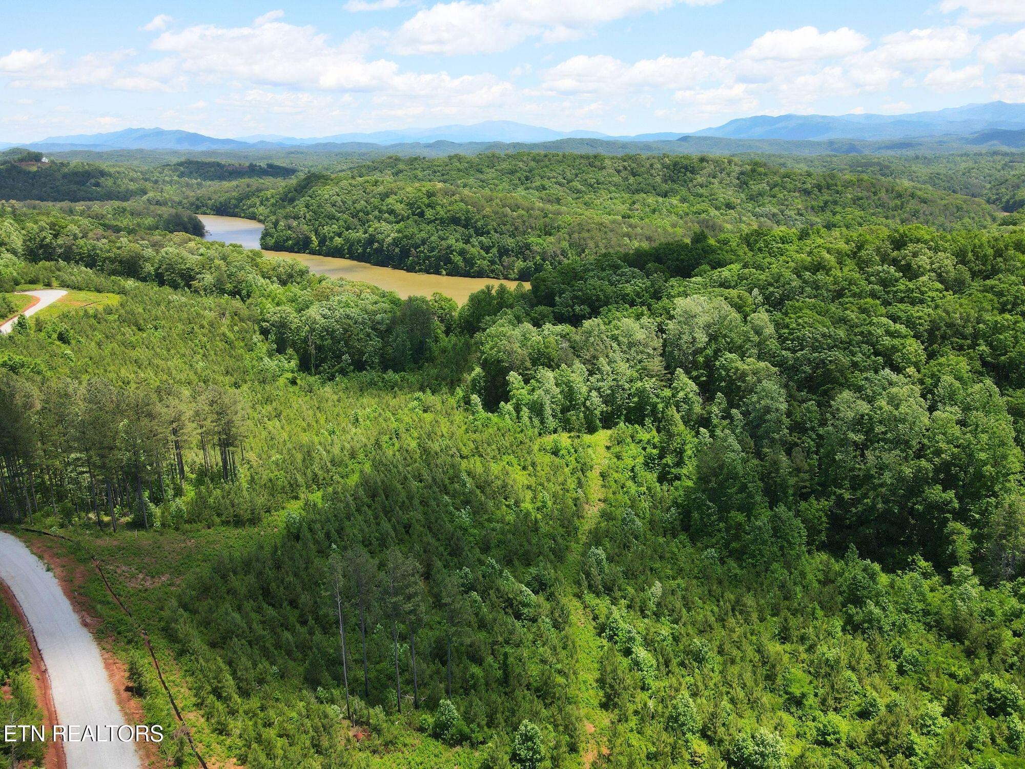 Fort Loudoun and Tellico Lake Real Estate - Image# 13