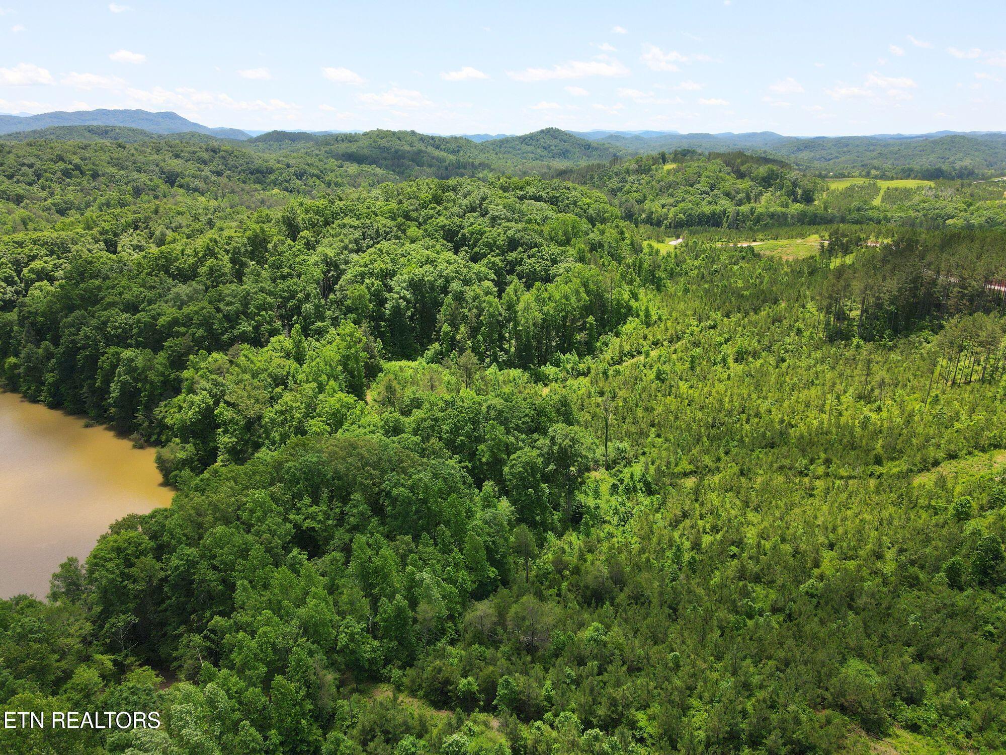 Fort Loudoun and Tellico Lake Real Estate - Image# 21
