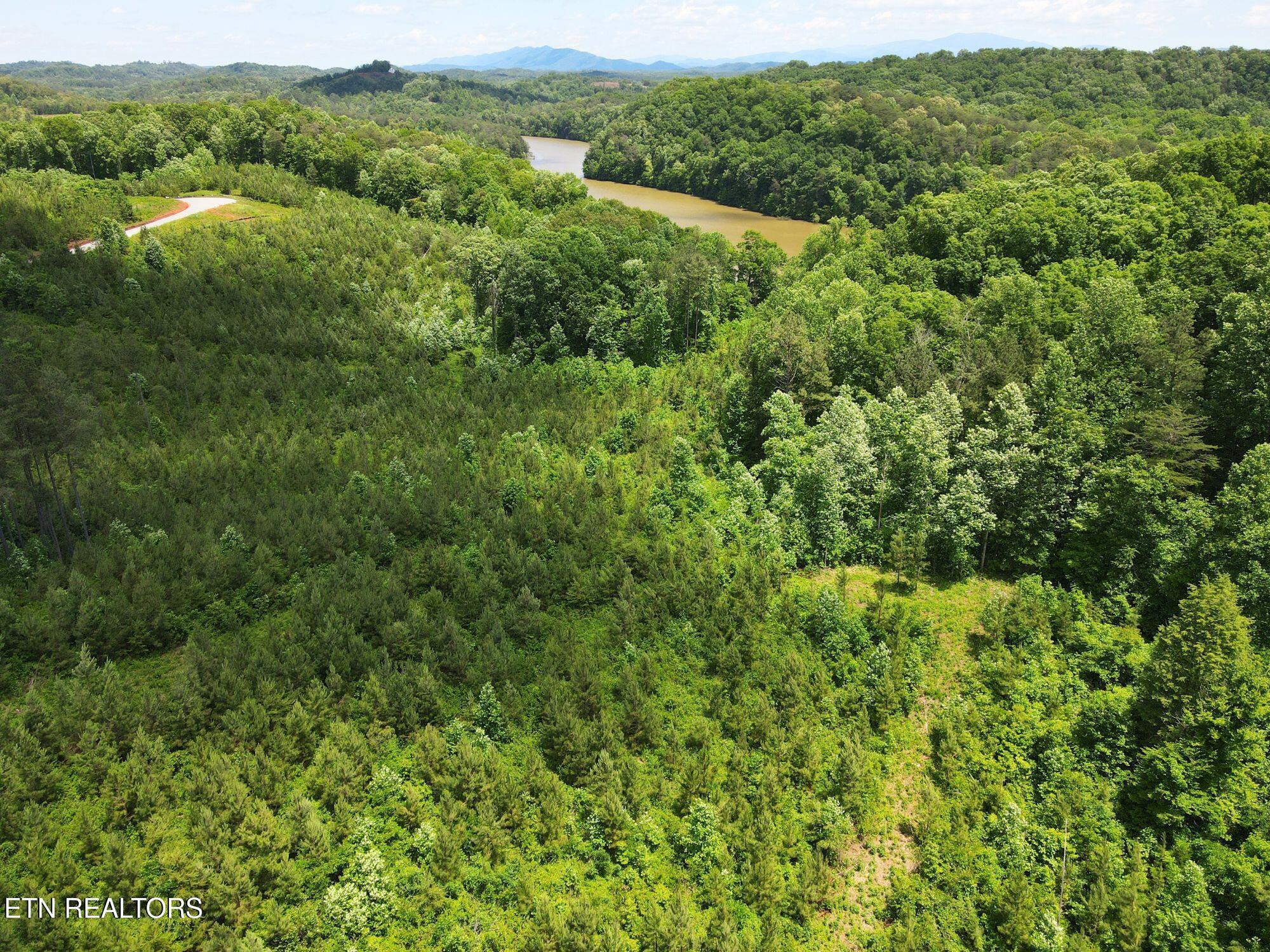 Fort Loudoun and Tellico Lake Real Estate - Image# 24