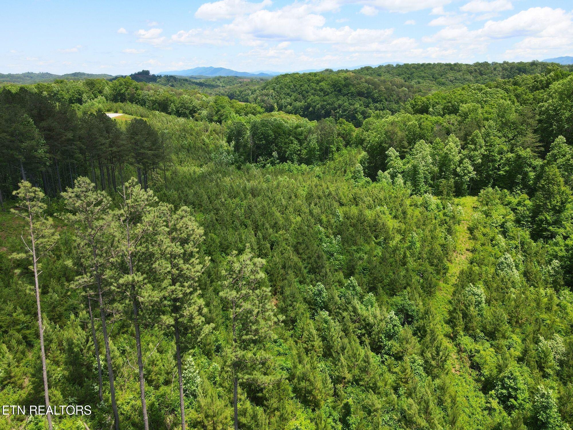 Fort Loudoun and Tellico Lake Real Estate - Image# 25
