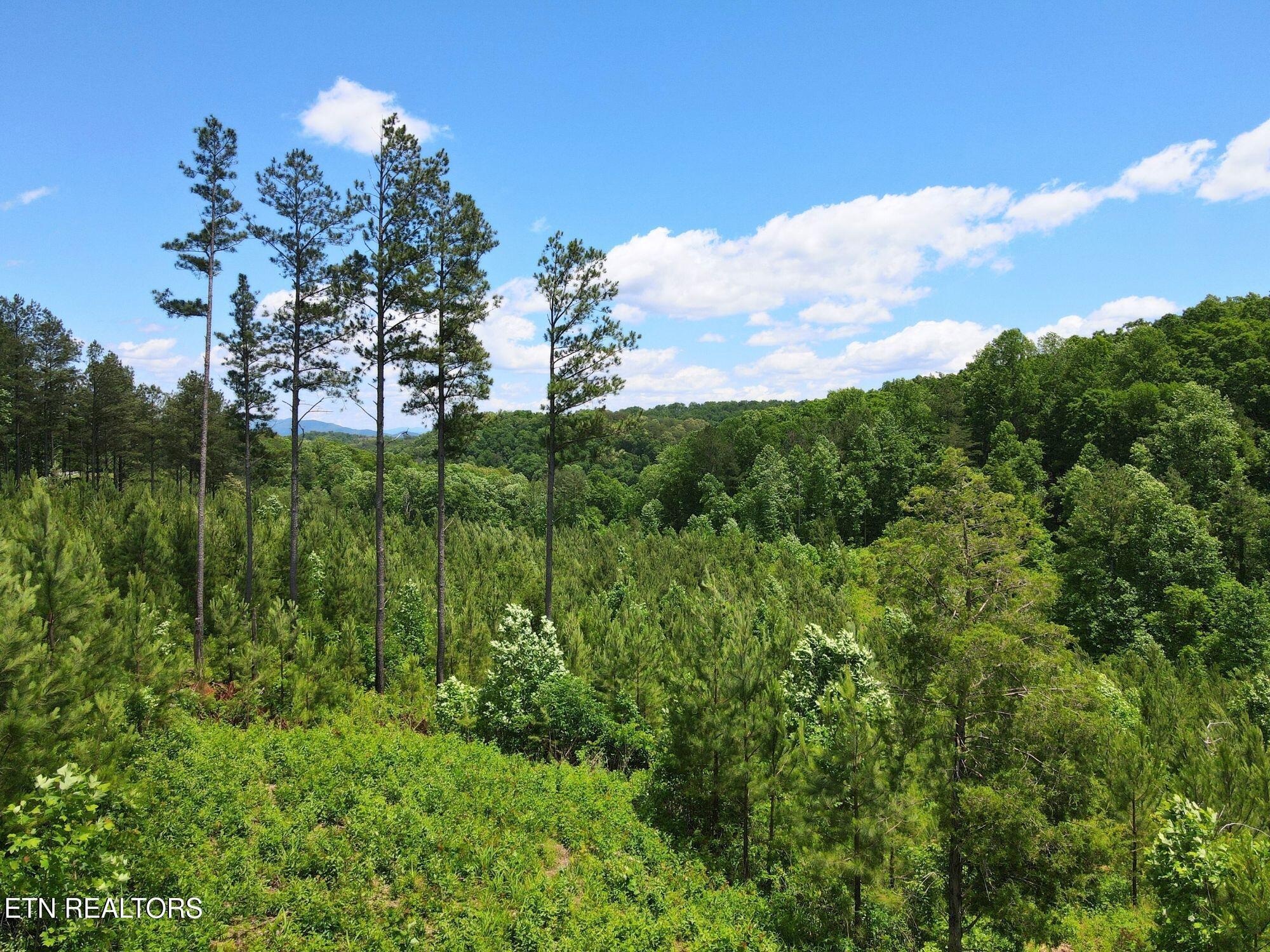 Fort Loudoun and Tellico Lake Real Estate - Image# 10