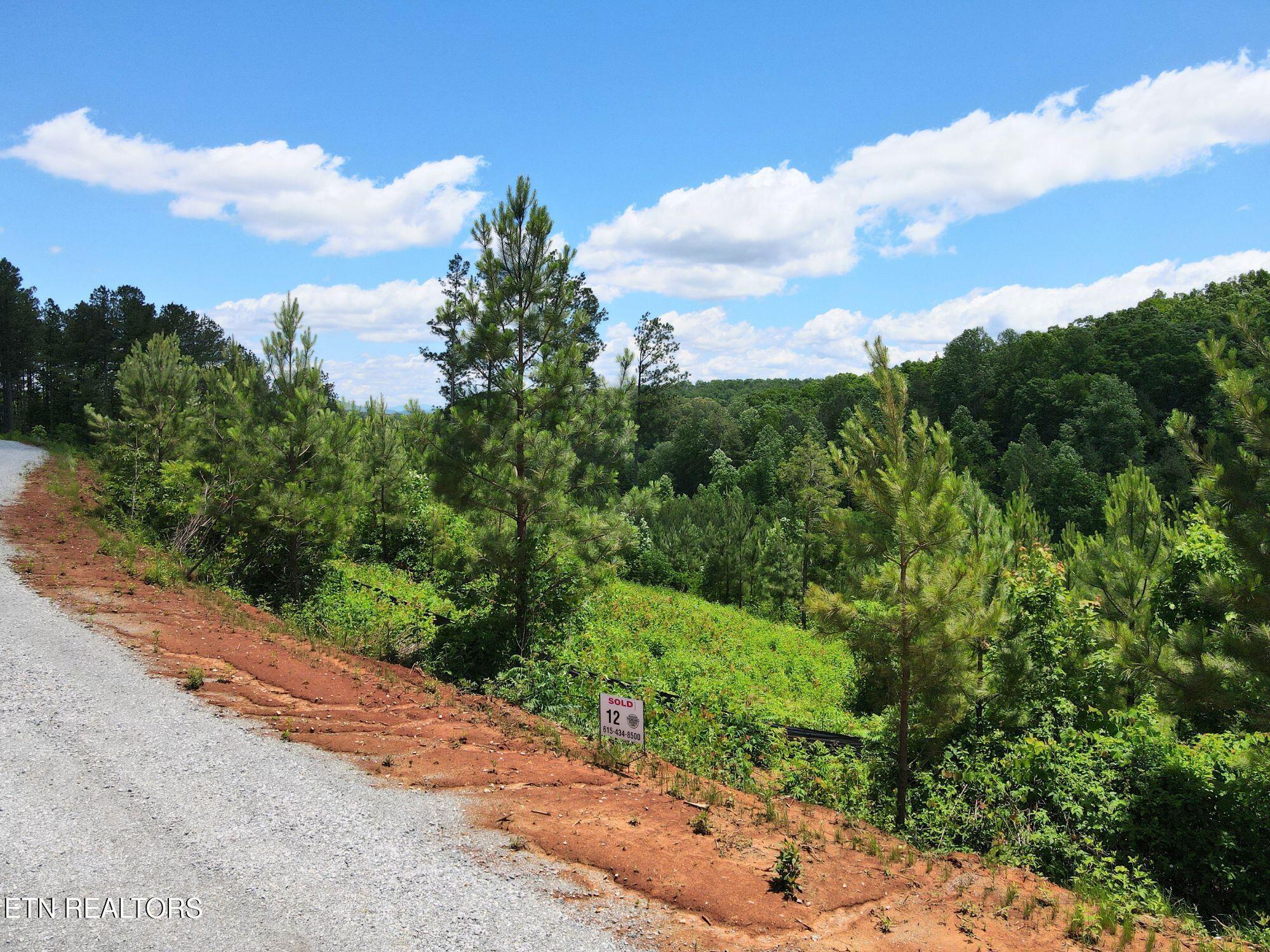 Fort Loudoun and Tellico Lake Real Estate - Image# 1