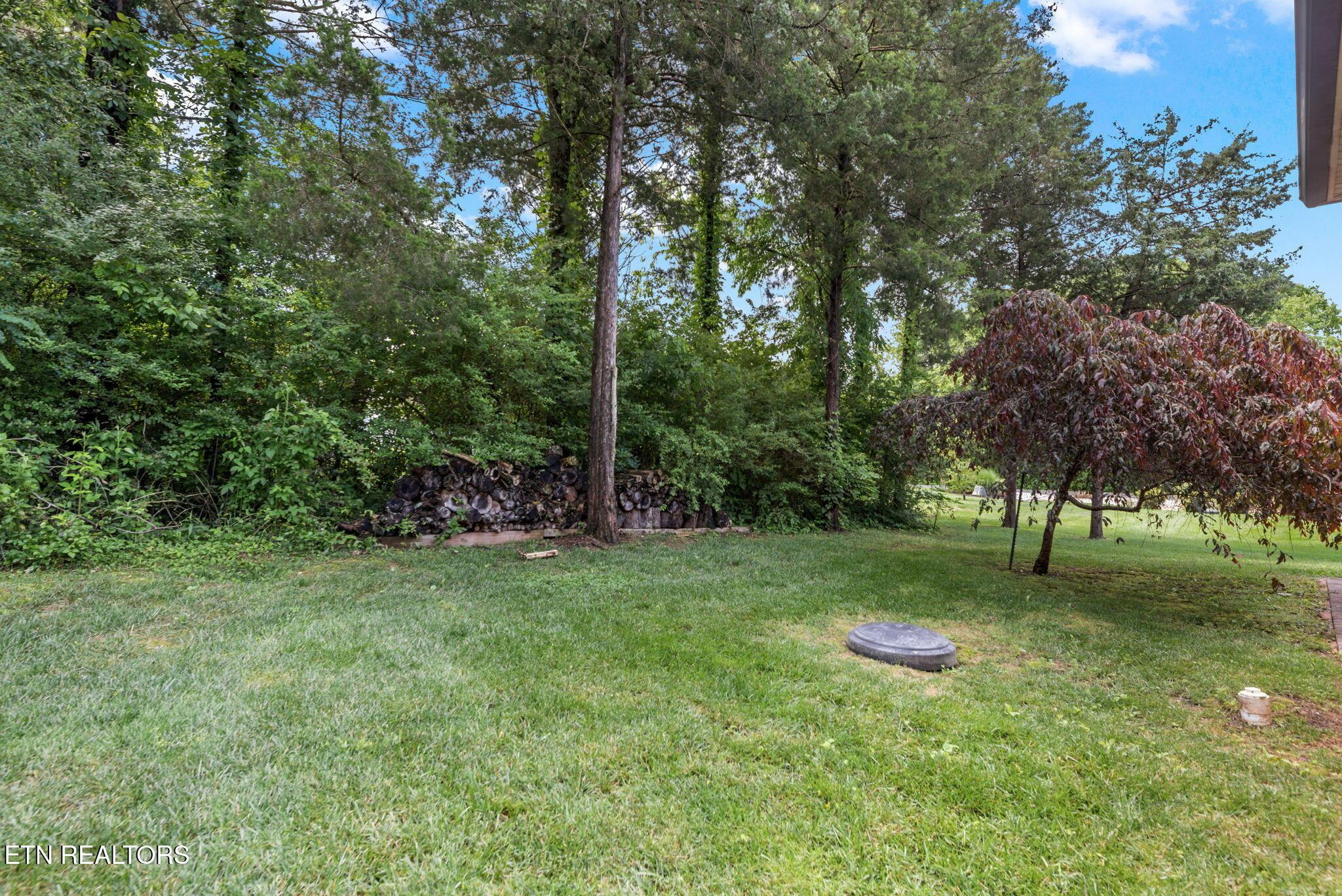 Fort Loudoun and Tellico Lake Real Estate - Image# 36