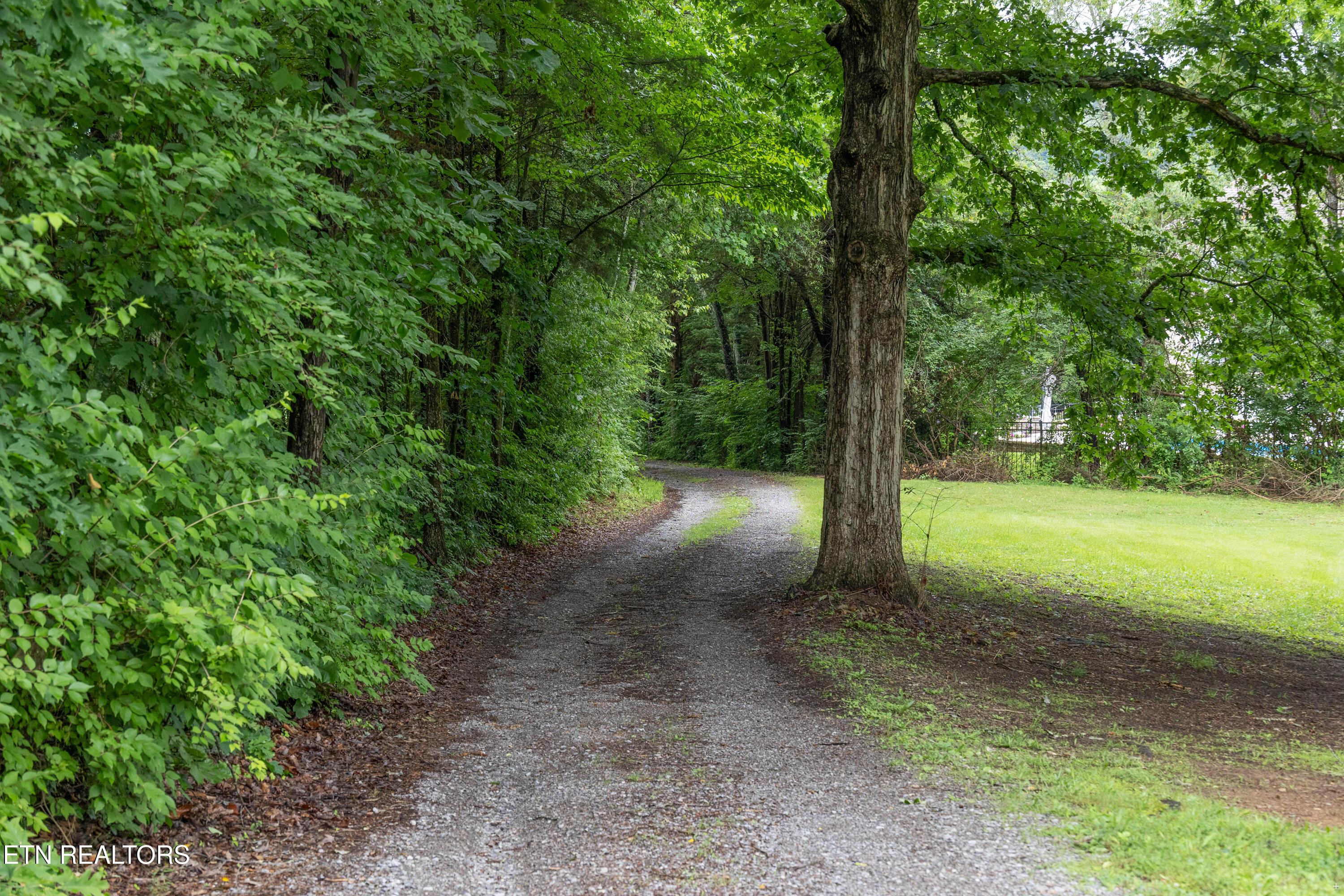 Fort Loudoun and Tellico Lake Real Estate - Image# 33