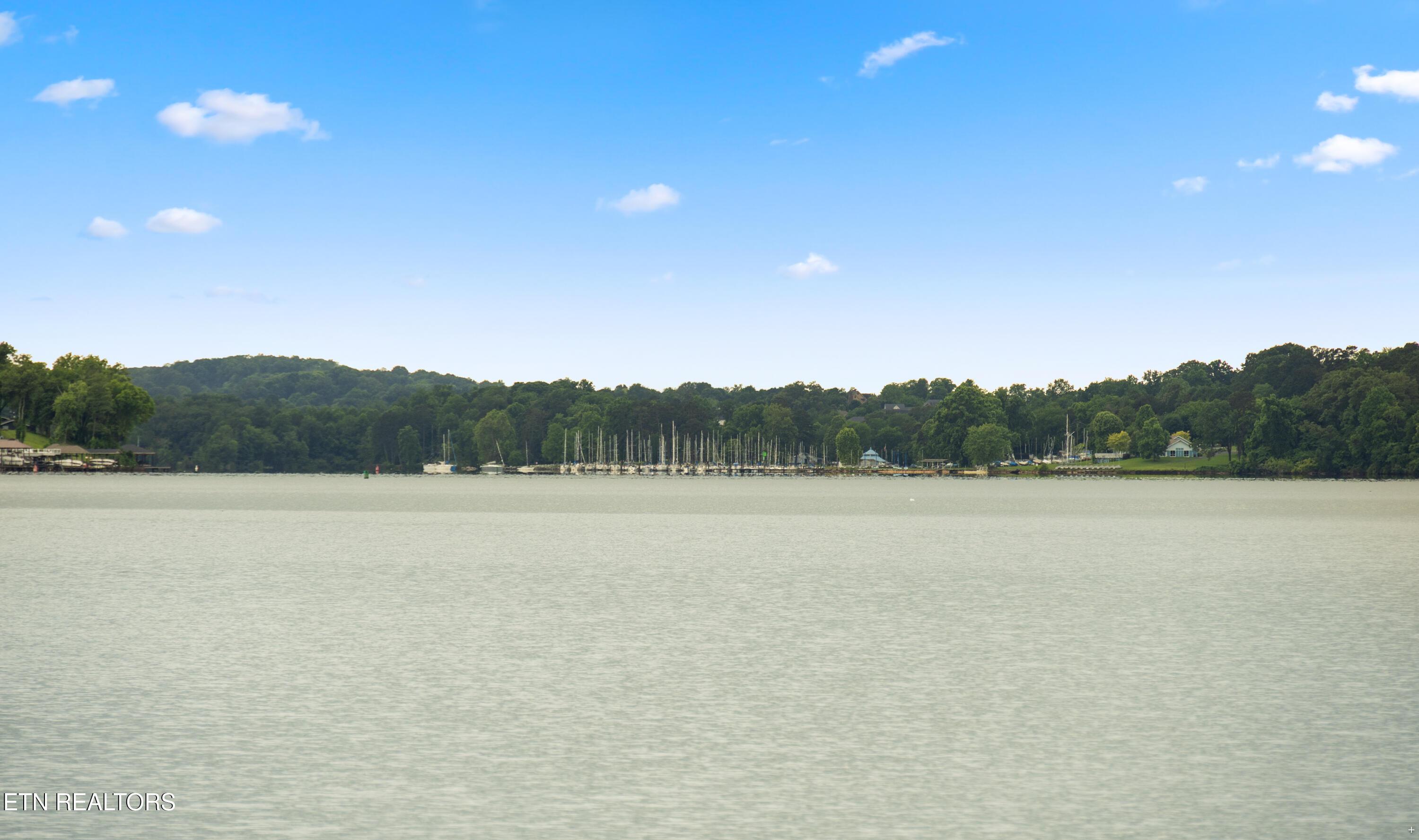 Fort Loudoun and Tellico Lake Real Estate - Image# 37