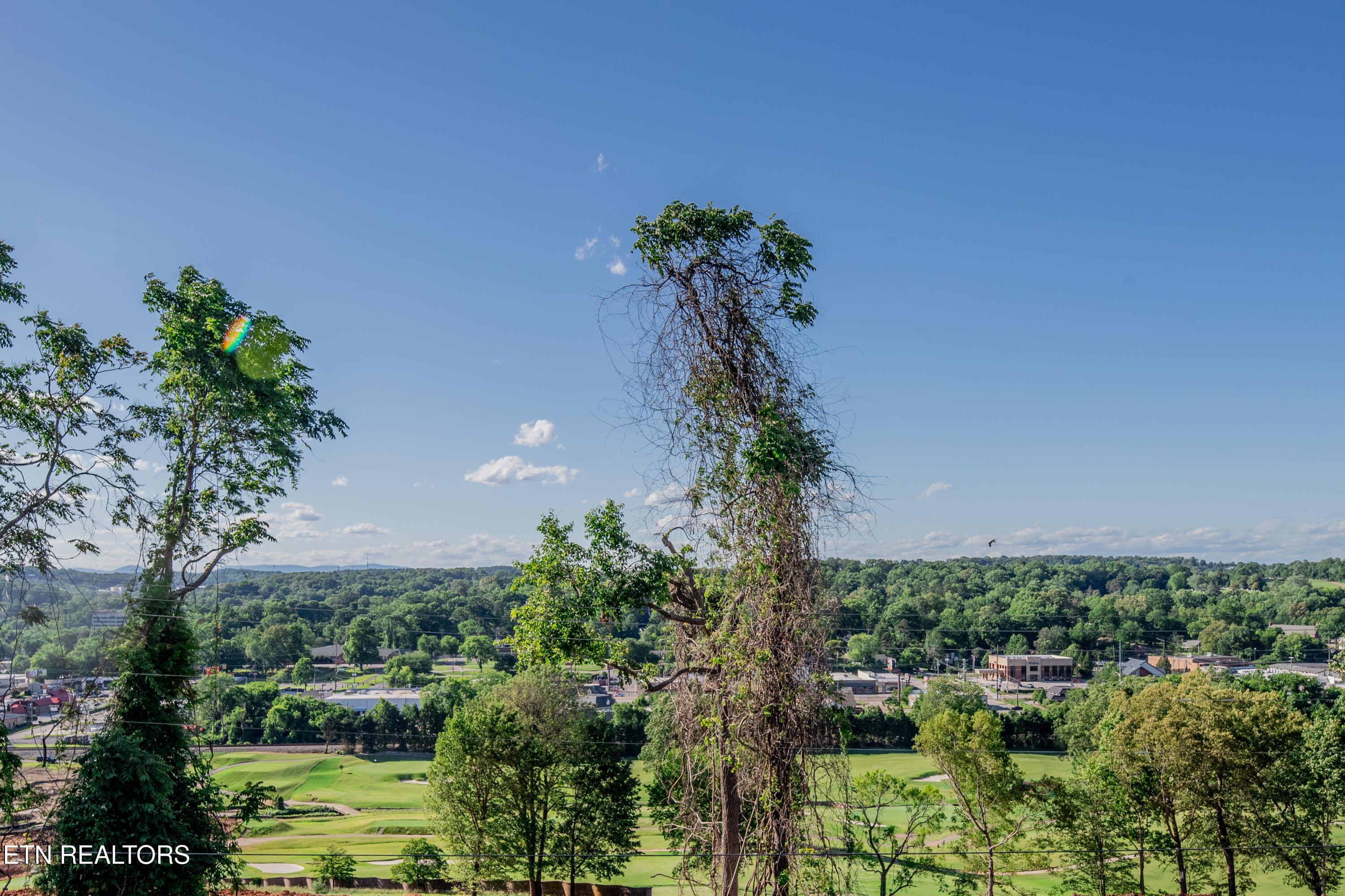 Fort Loudoun and Tellico Lake Real Estate - Image# 8