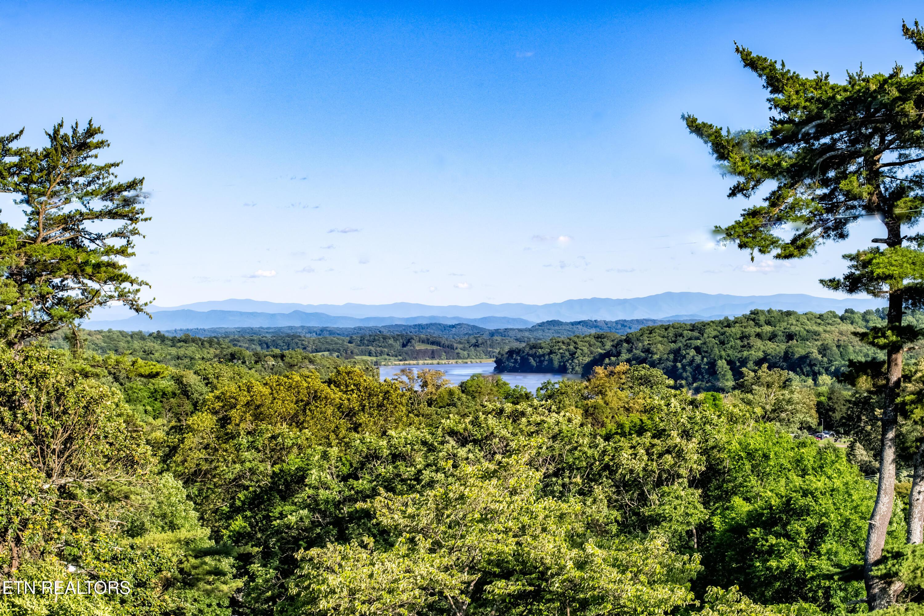 Fort Loudoun and Tellico Lake Real Estate - Image# 21