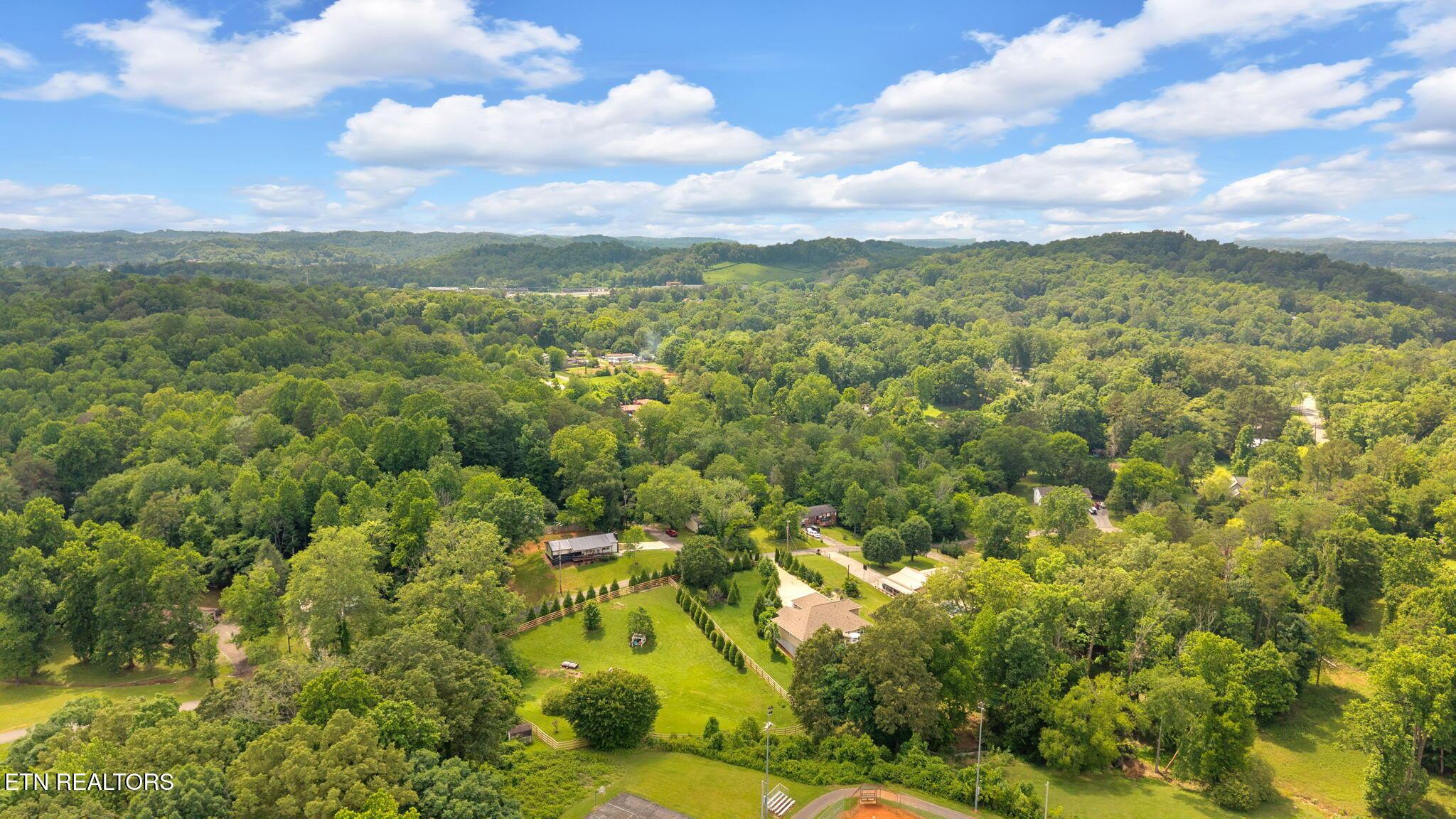 Fort Loudoun and Tellico Lake Real Estate - Image# 50