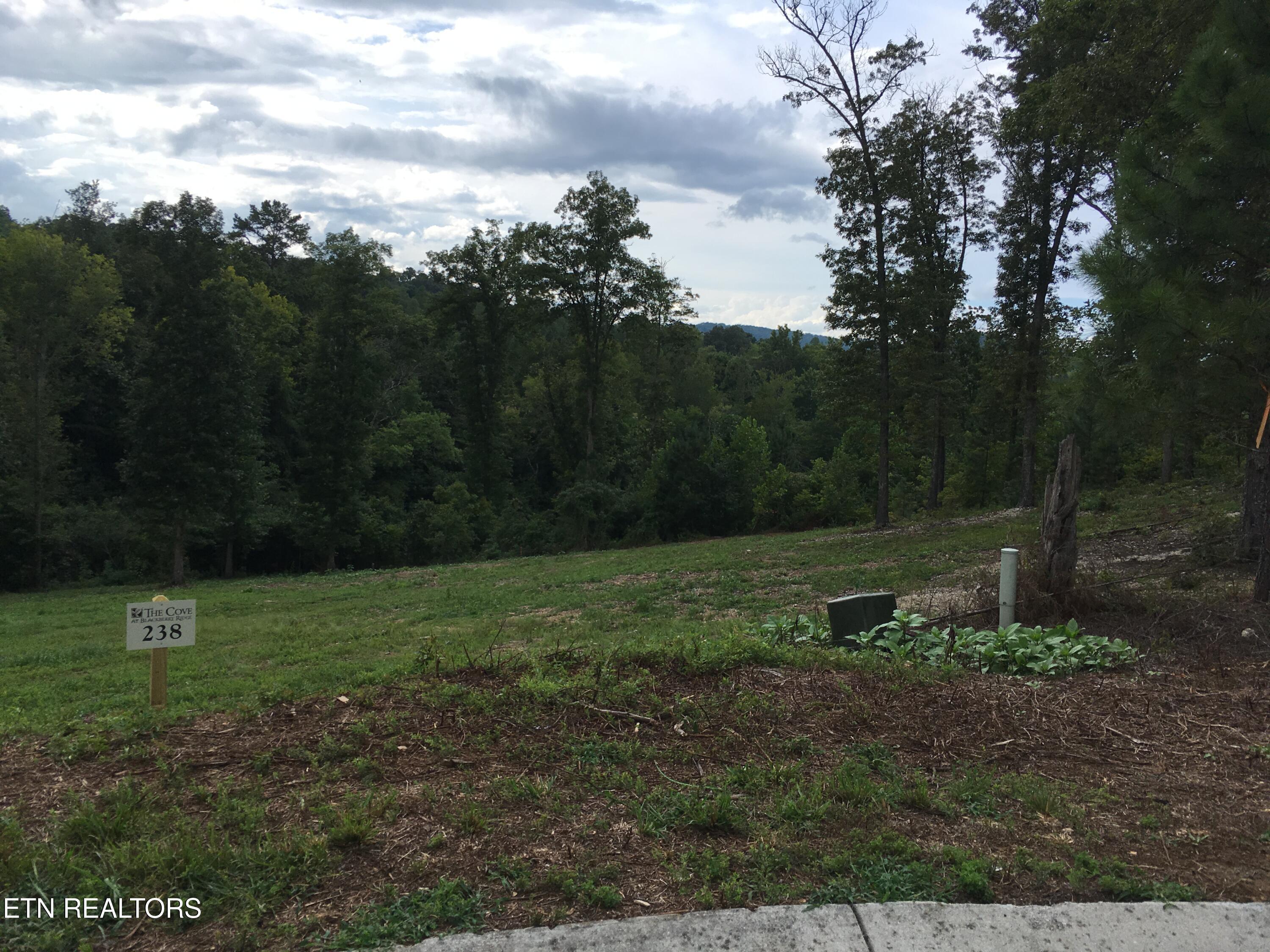 Fort Loudoun and Tellico Lake Real Estate - Image# 11