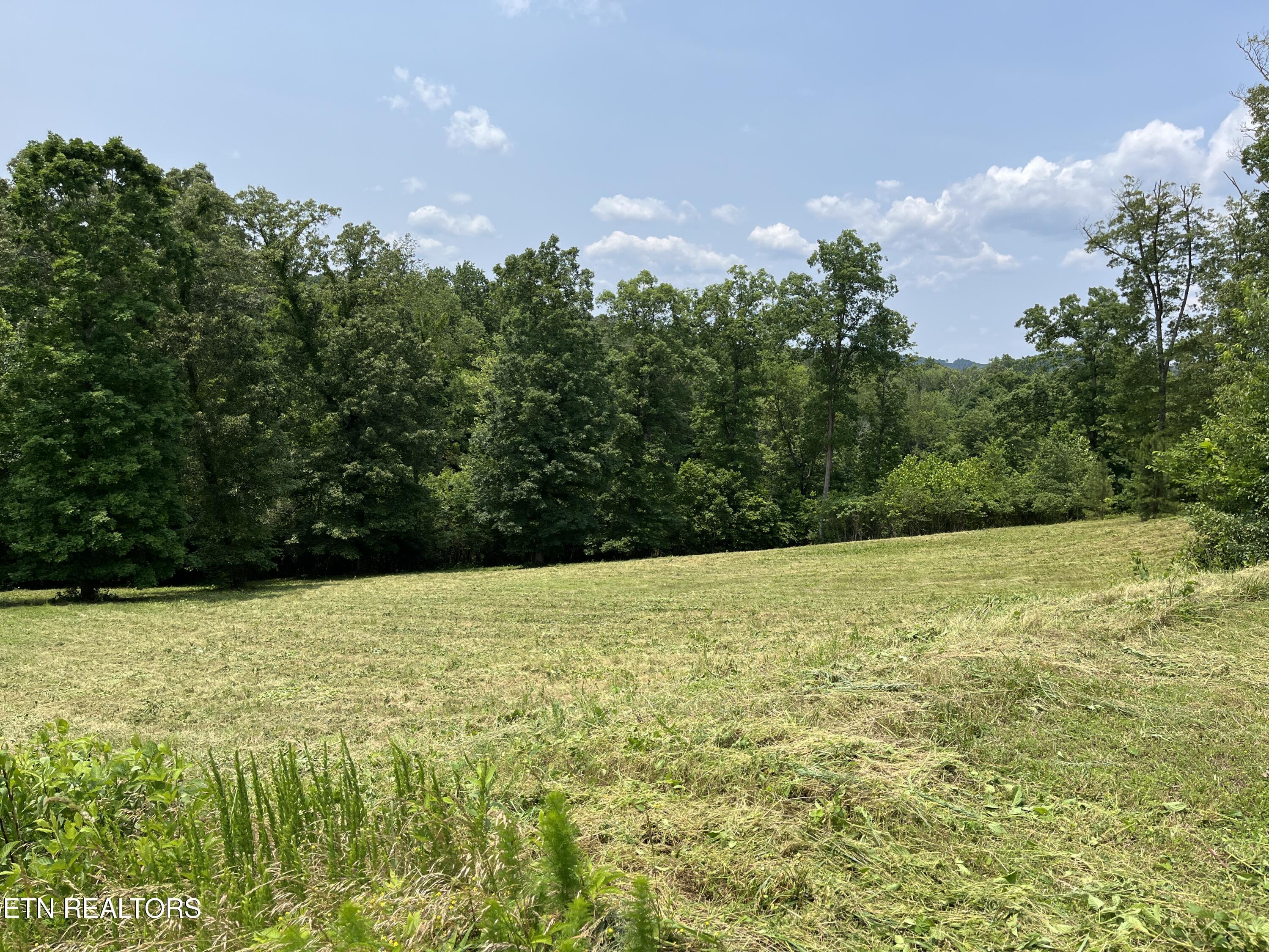 Fort Loudoun and Tellico Lake Real Estate - Image# 13
