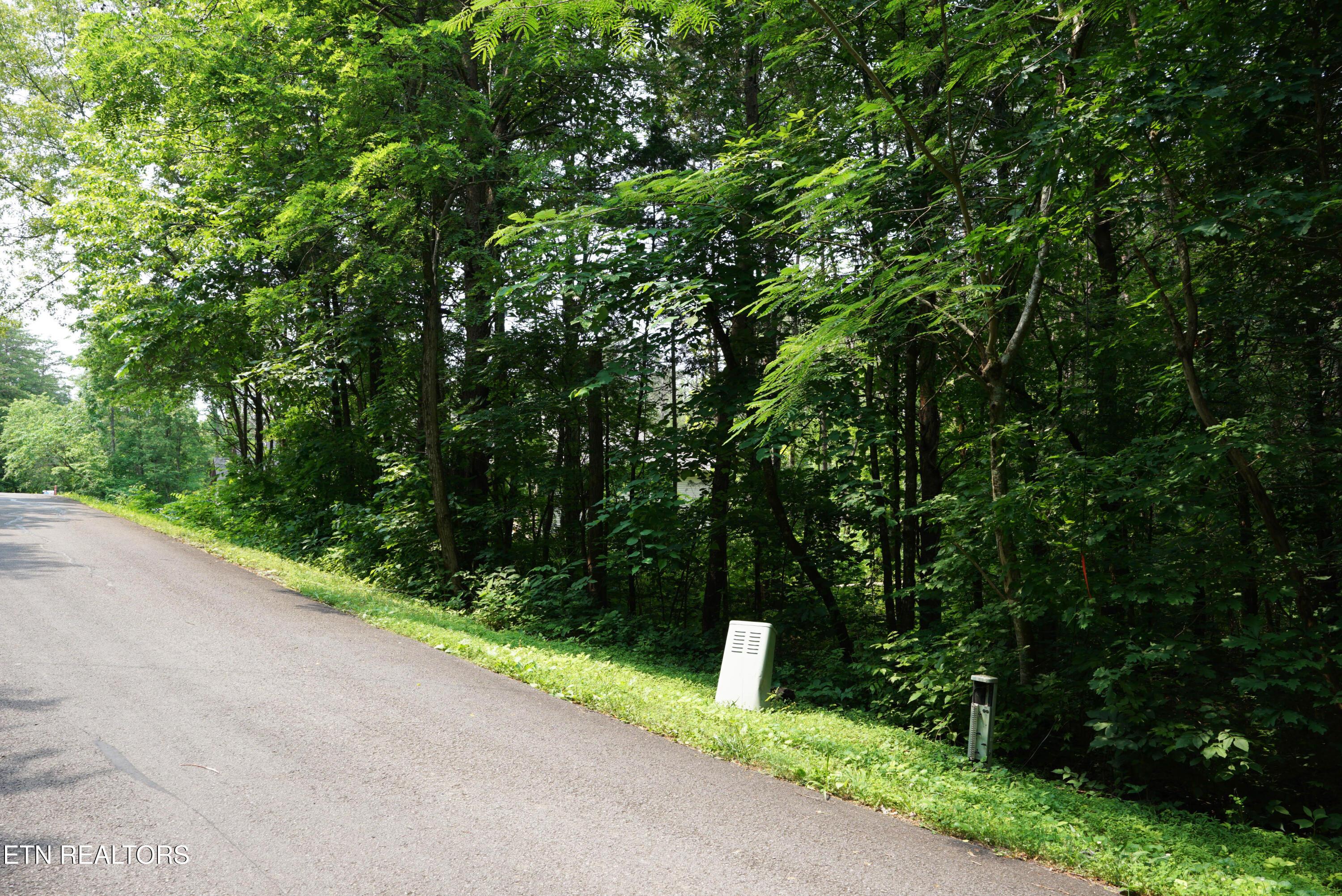Fort Loudoun and Tellico Lake Real Estate - Image# 4