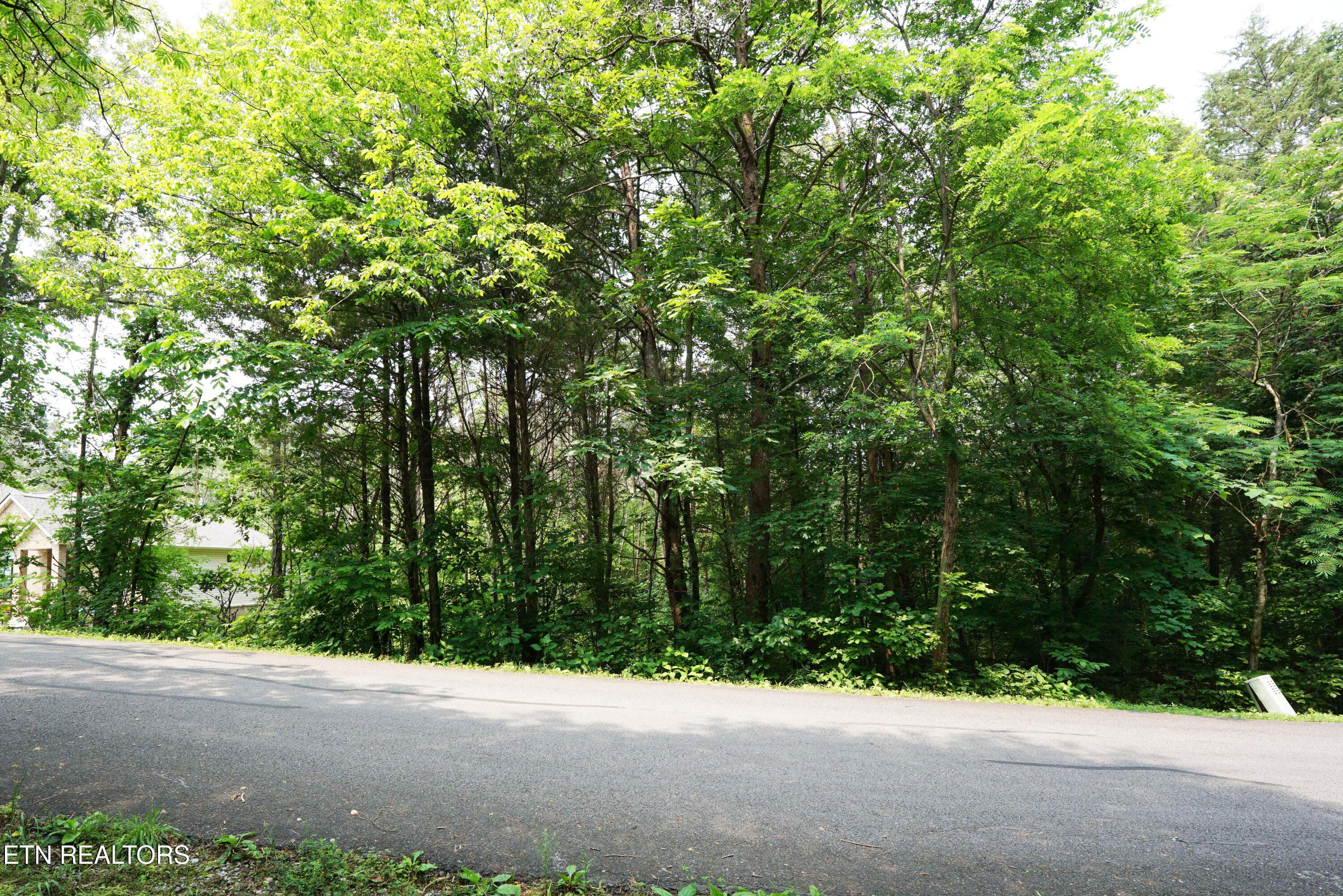 Fort Loudoun and Tellico Lake Real Estate - Image# 5