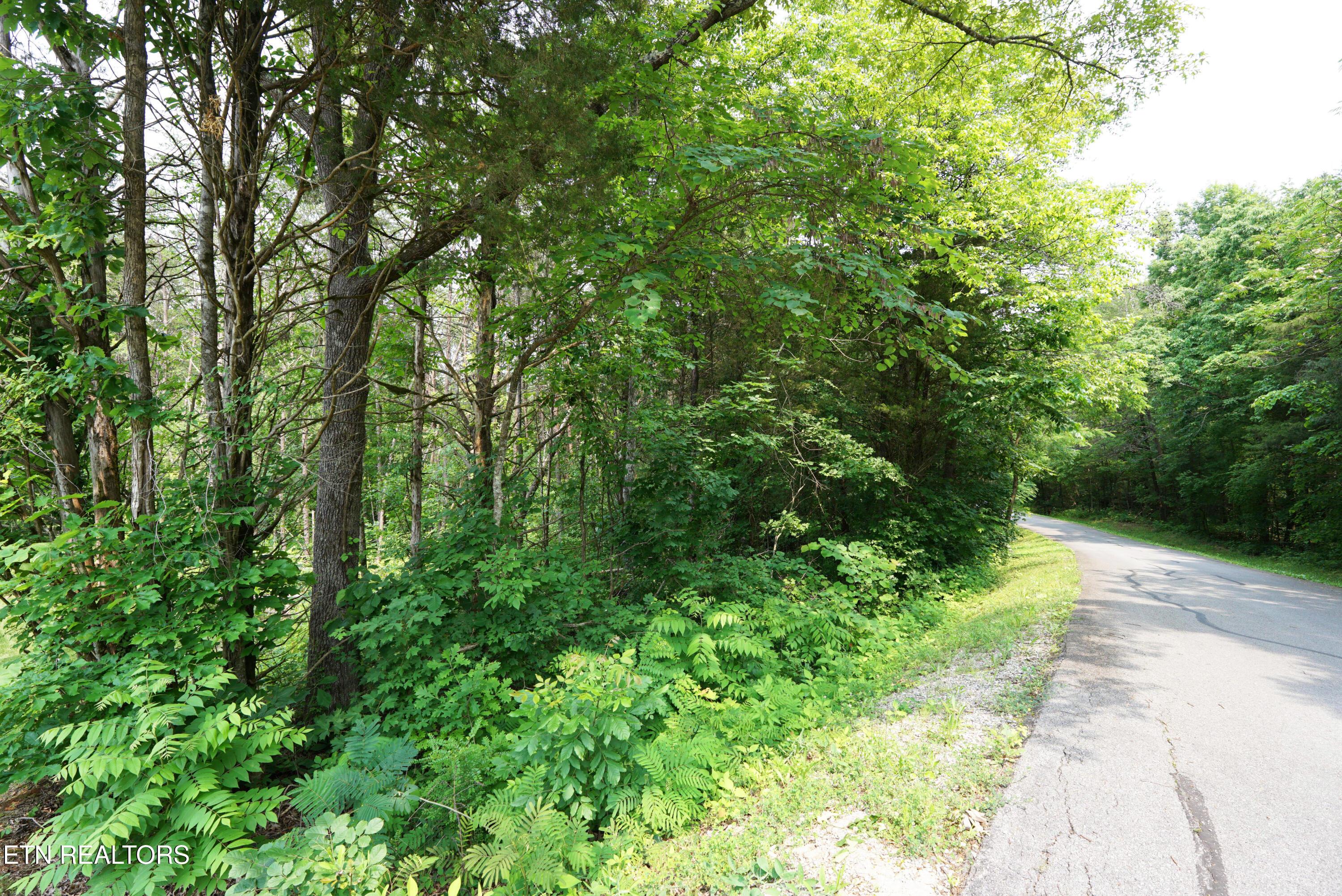 Fort Loudoun and Tellico Lake Real Estate - Image# 7