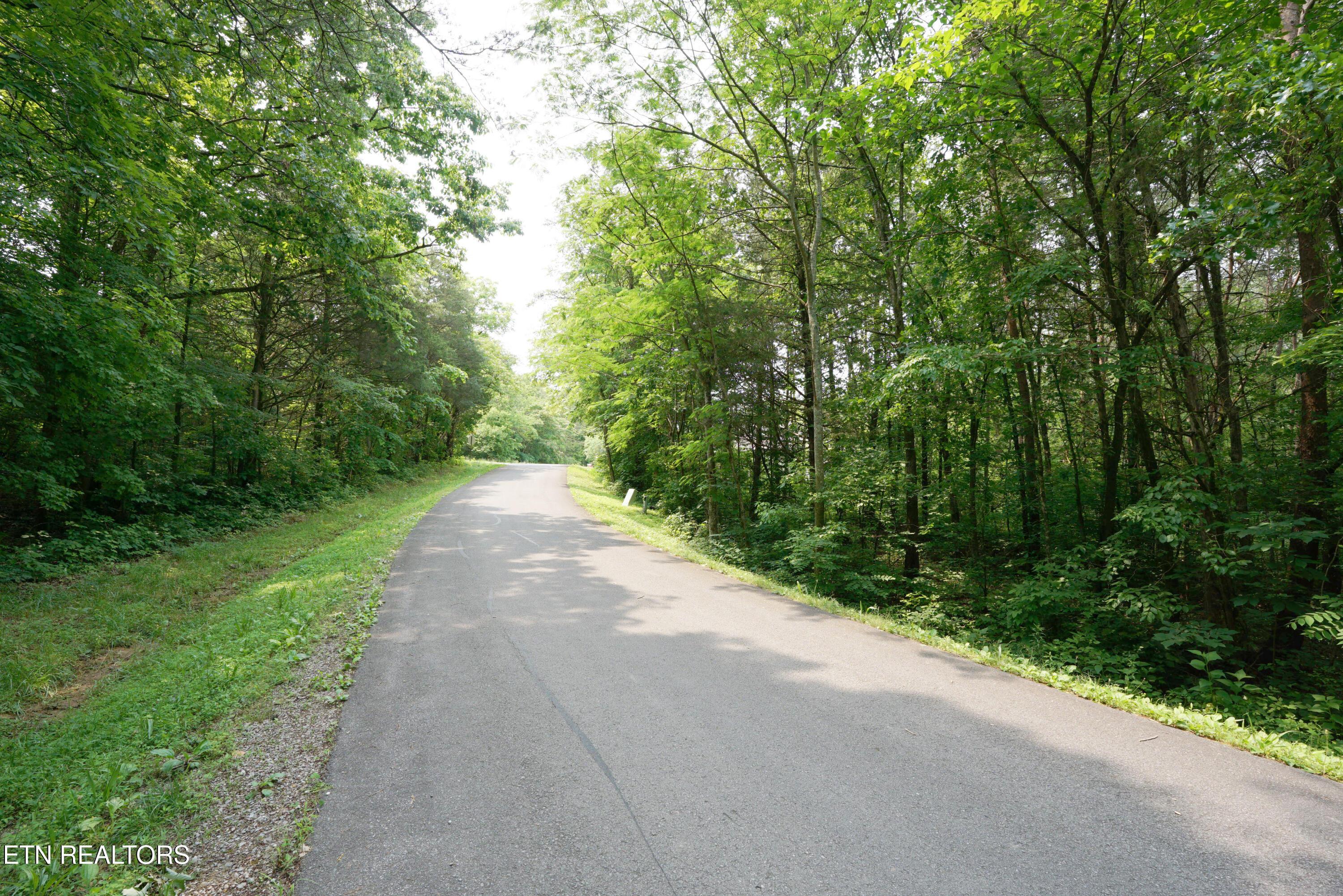 Fort Loudoun and Tellico Lake Real Estate - Image# 8