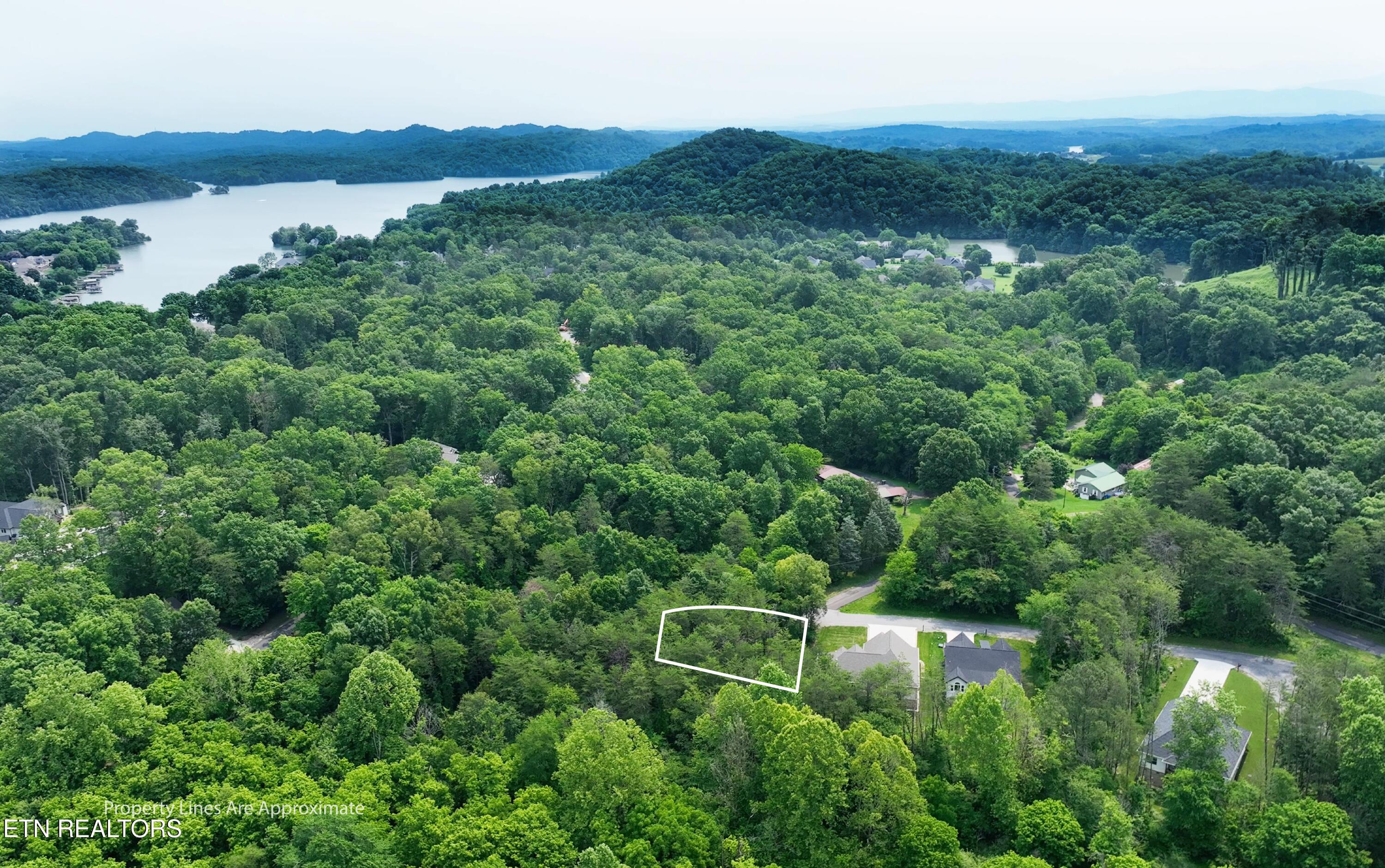Fort Loudoun and Tellico Lake Real Estate - Image# 10