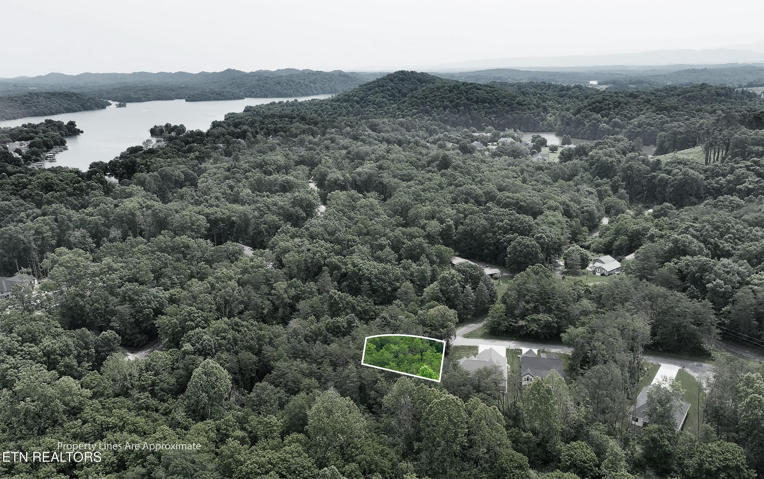 Fort Loudoun and Tellico Lake Real Estate - Image# 2