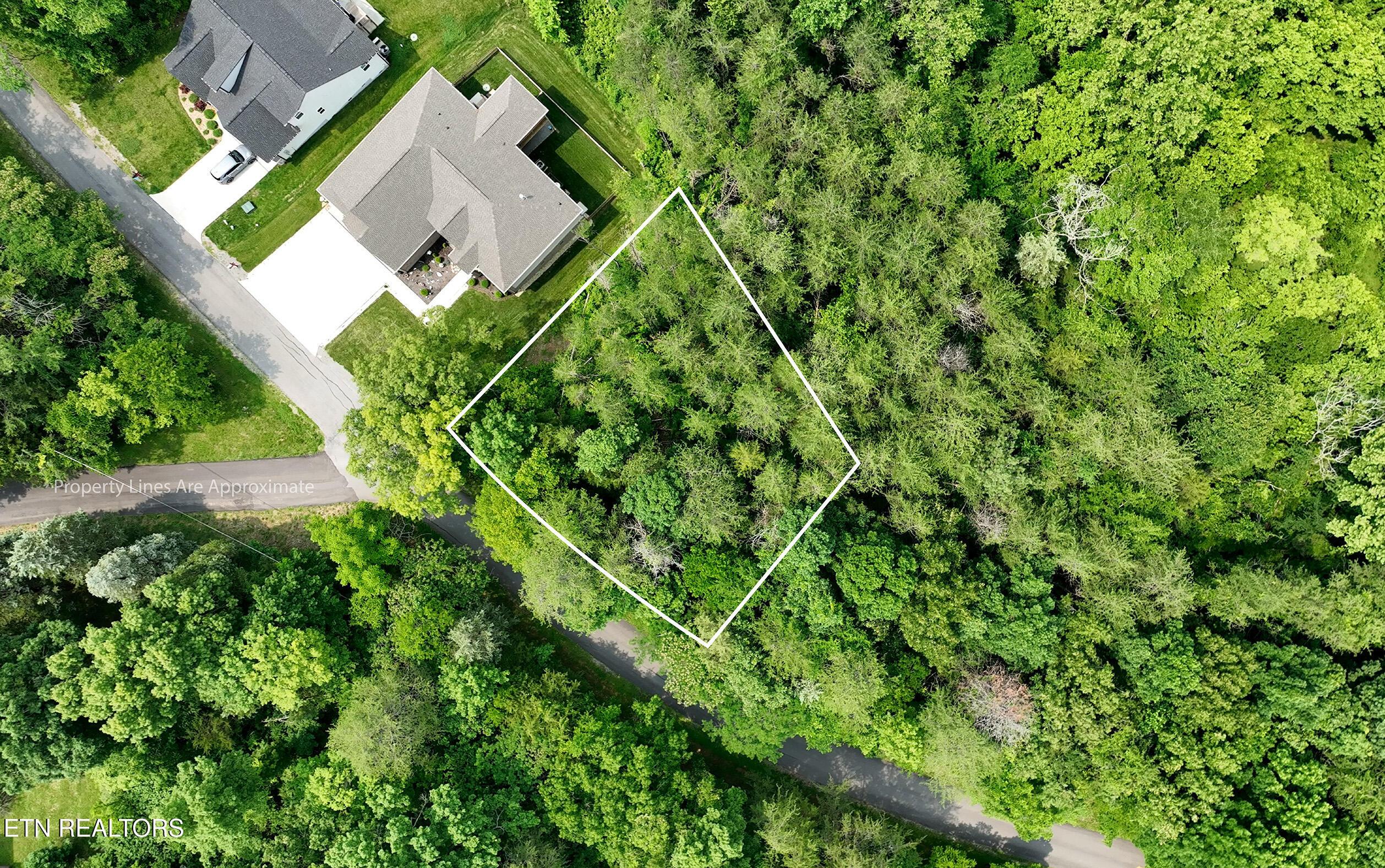 Fort Loudoun and Tellico Lake Real Estate - Image# 1